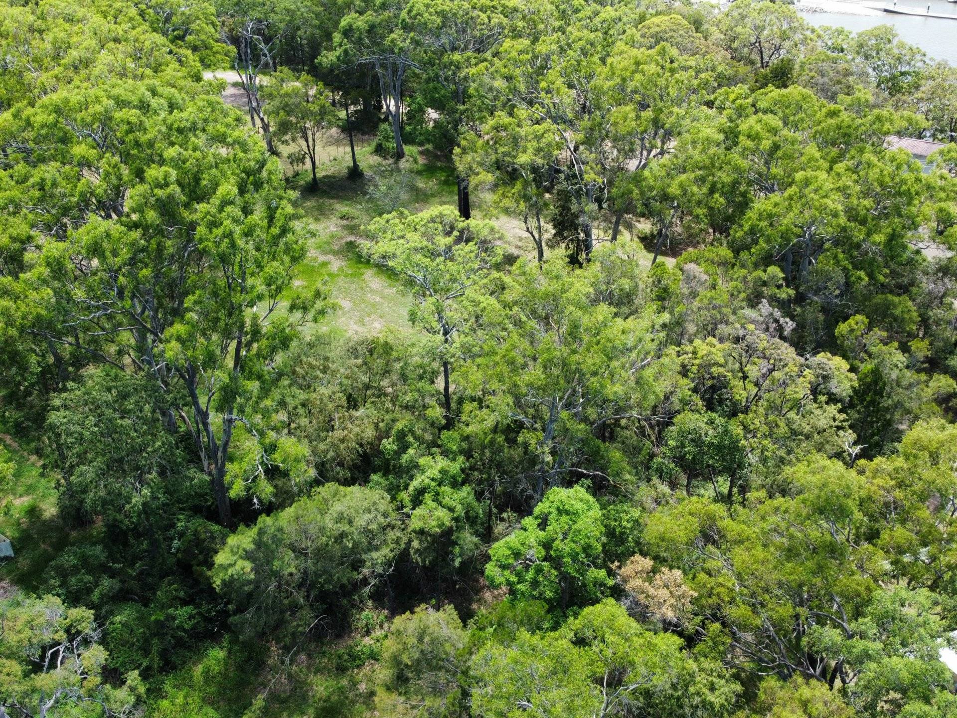 4 Cliff Terrace, Macleay Island, Macleay Island - Thumbnail 5