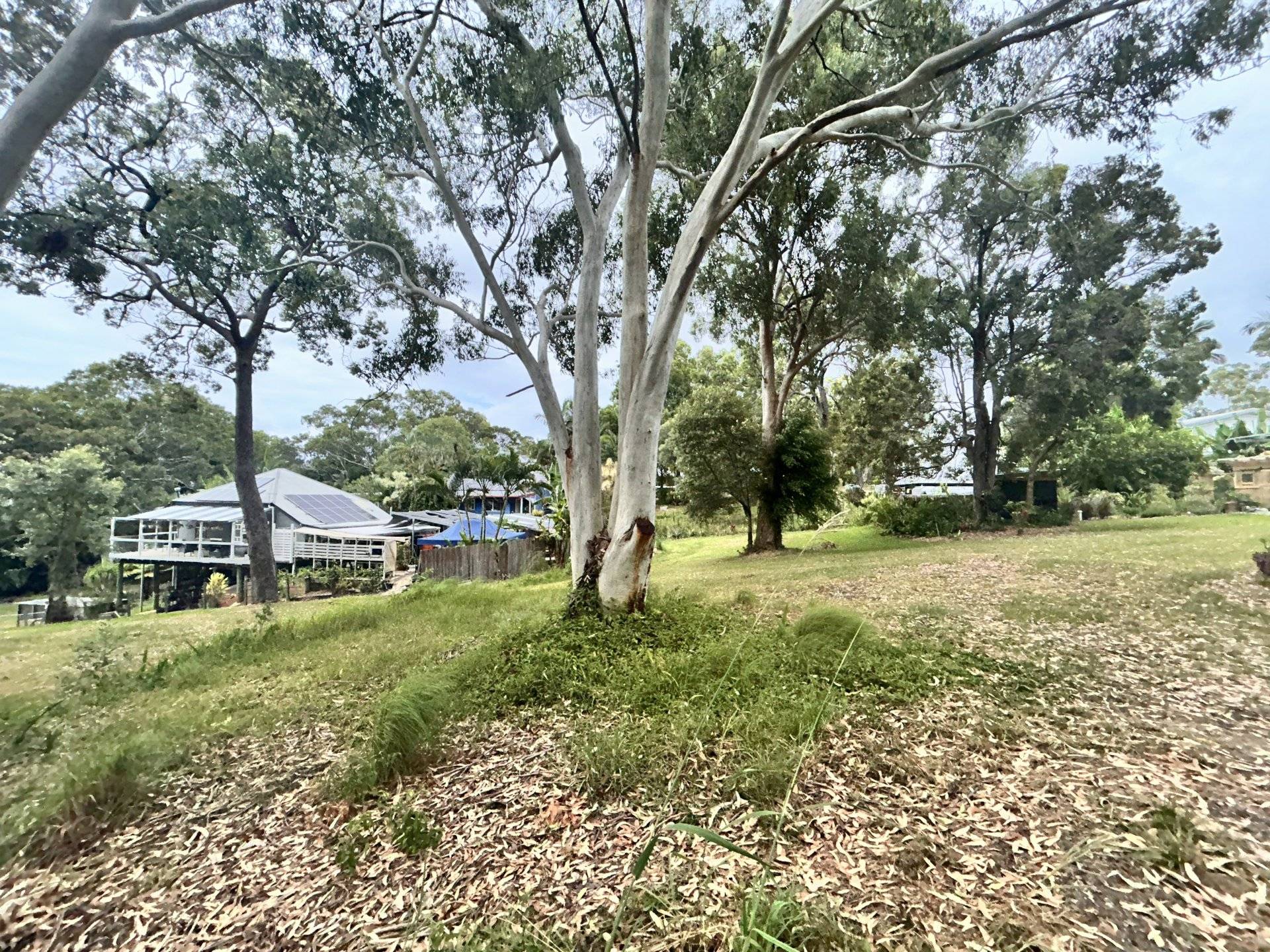 32 Leanne Street, Macleay Island, Macleay Island - Thumbnail 3