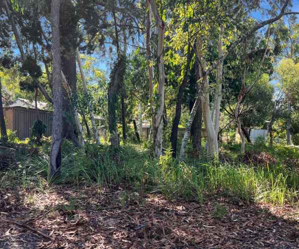 Seller of a residential land in Macleay Island, Qld