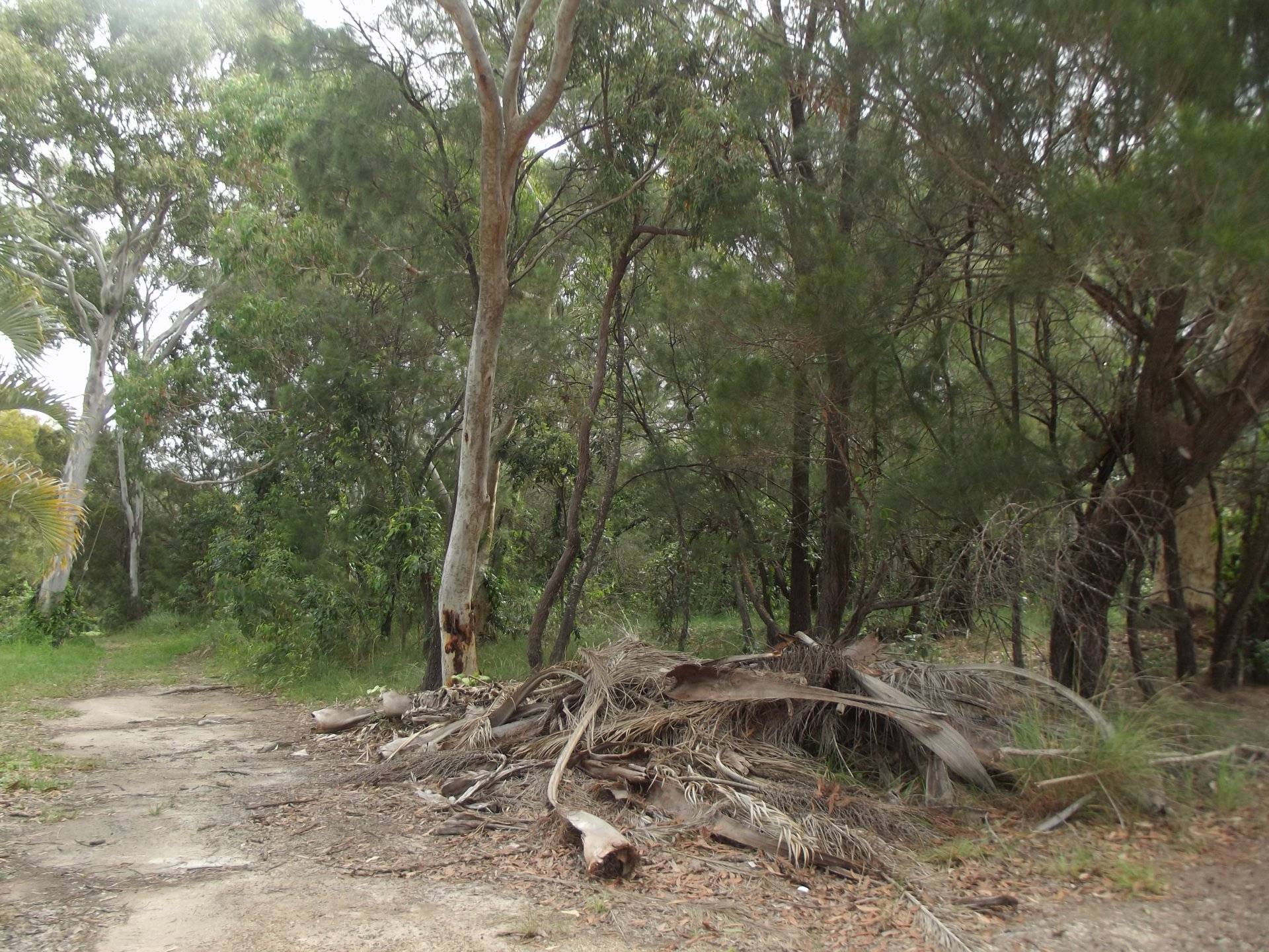 10 Matthew Street, Macleay Island, Macleay Island - Thumbnail 2