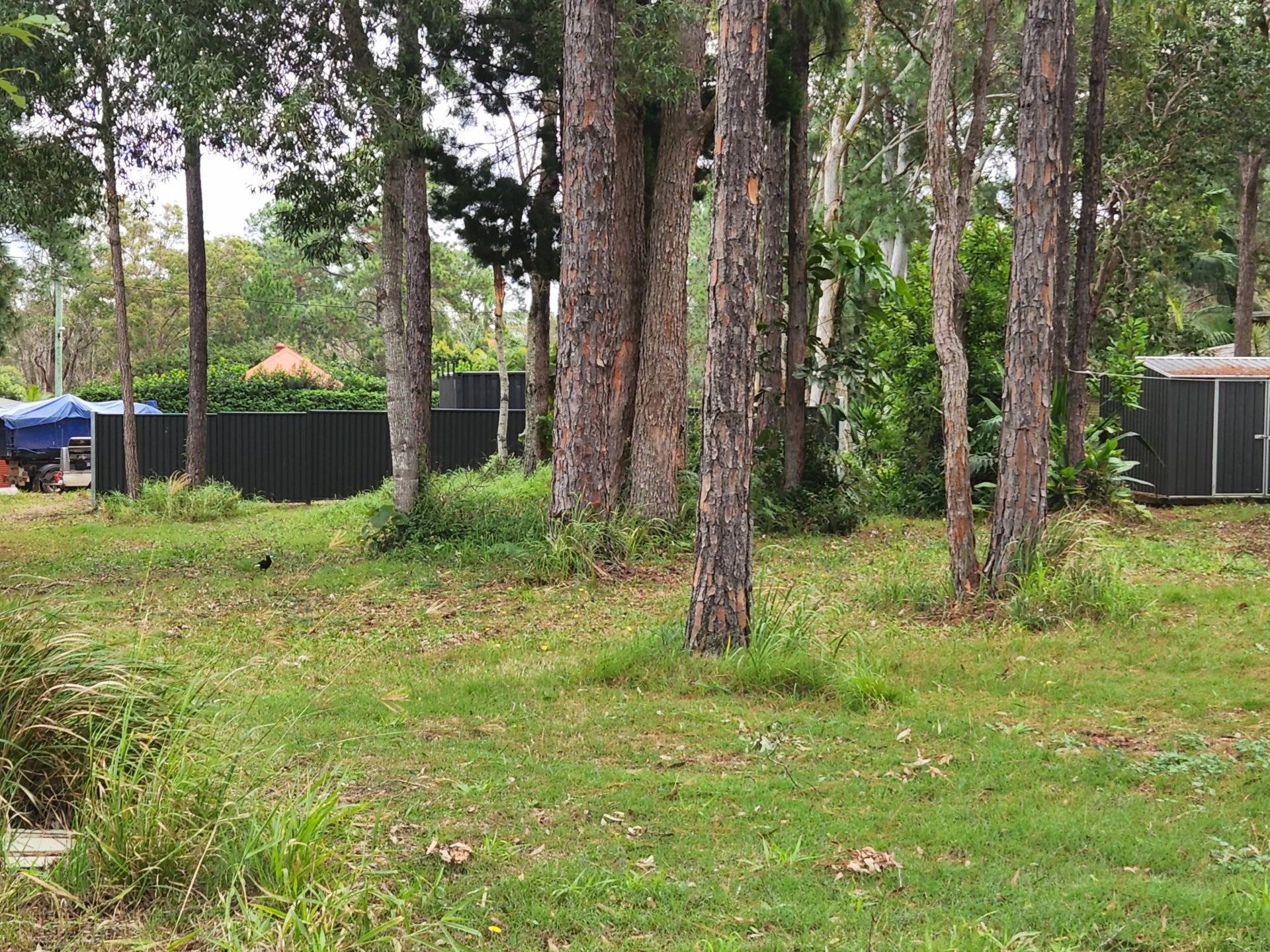 31 Nugent Street, Macleay Island, Macleay Island - Thumbnail 4