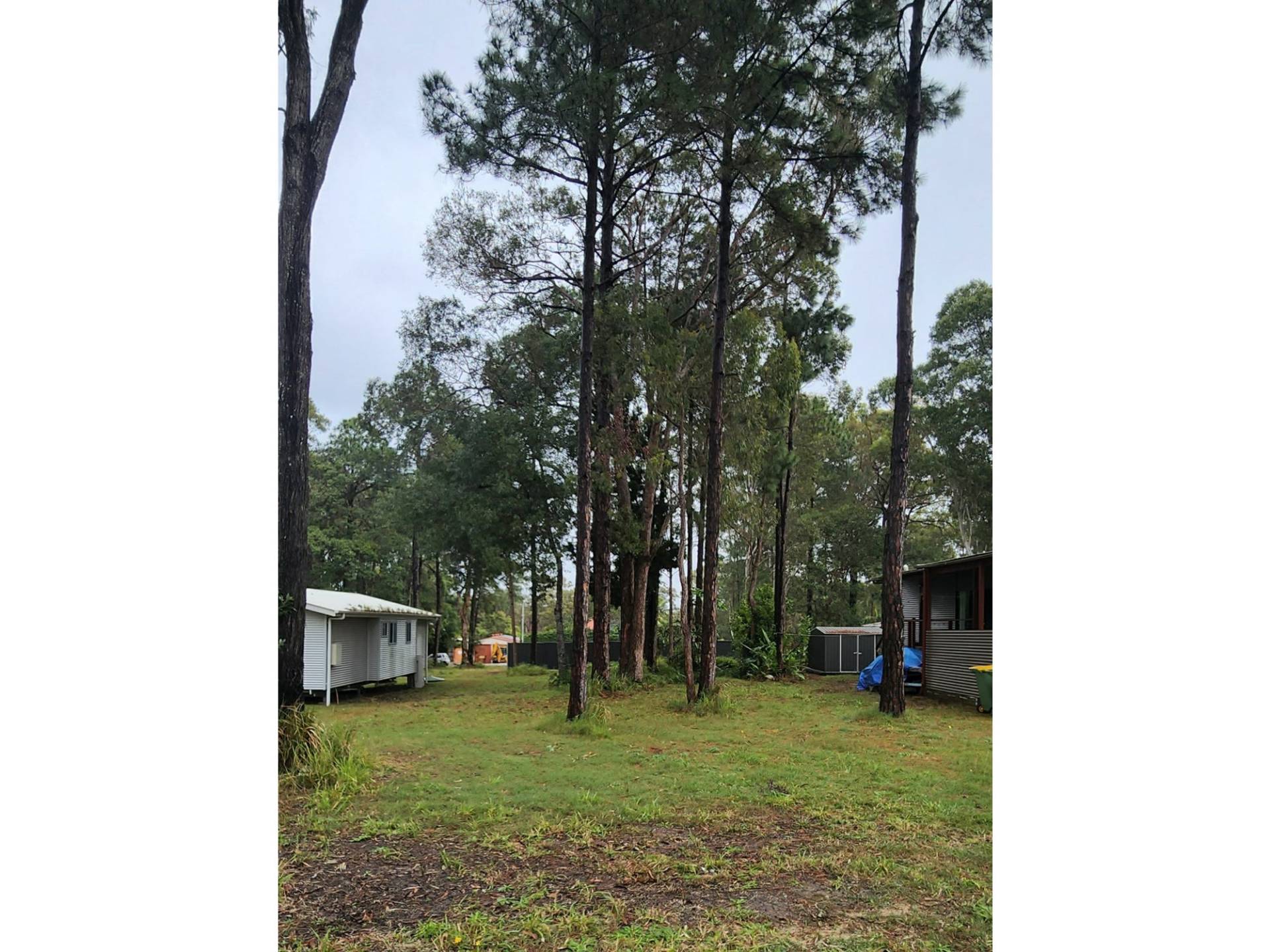 31 Nugent Street, Macleay Island, Macleay Island - Thumbnail 2