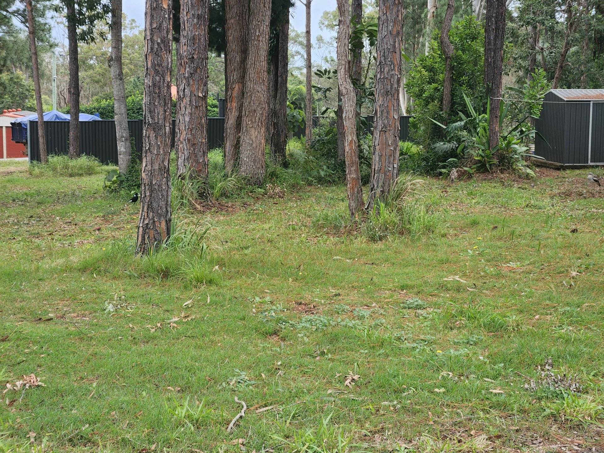 31 Nugent Street, Macleay Island, Macleay Island - Thumbnail 3
