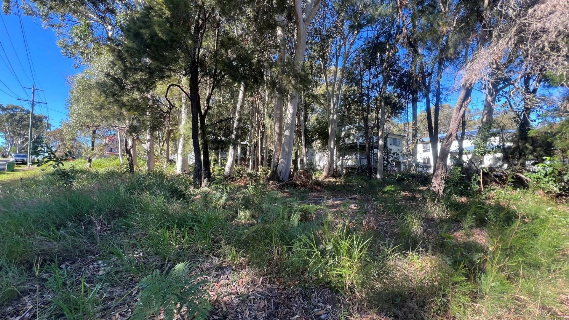94 Kate St, Macleay Island, Macleay Island - Thumbnail 4