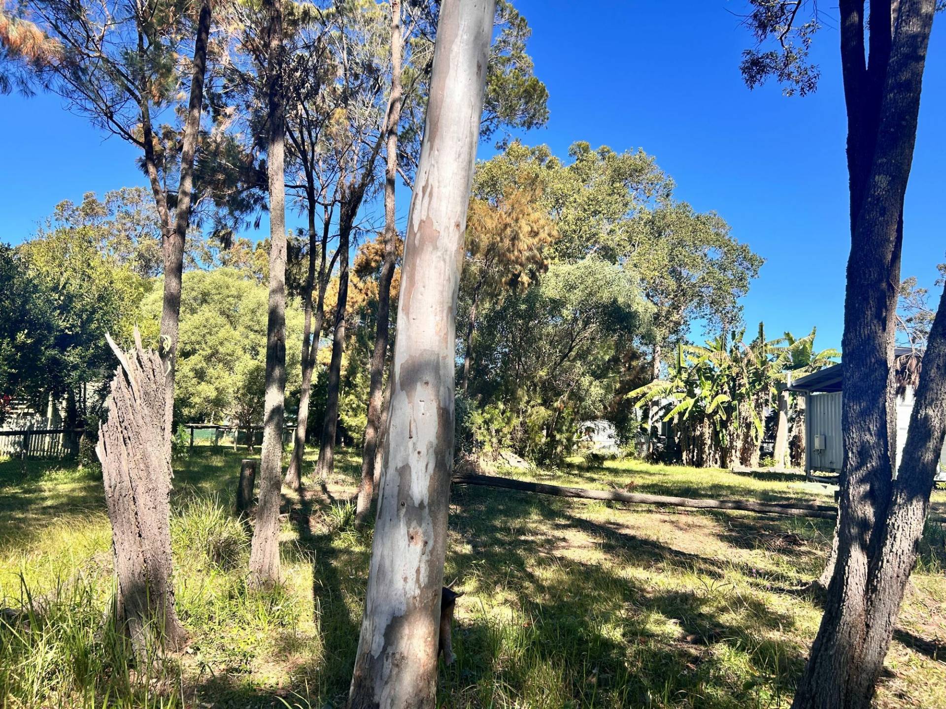 12 Double Bay St, Macleay Island, Macleay Island - Thumbnail 3