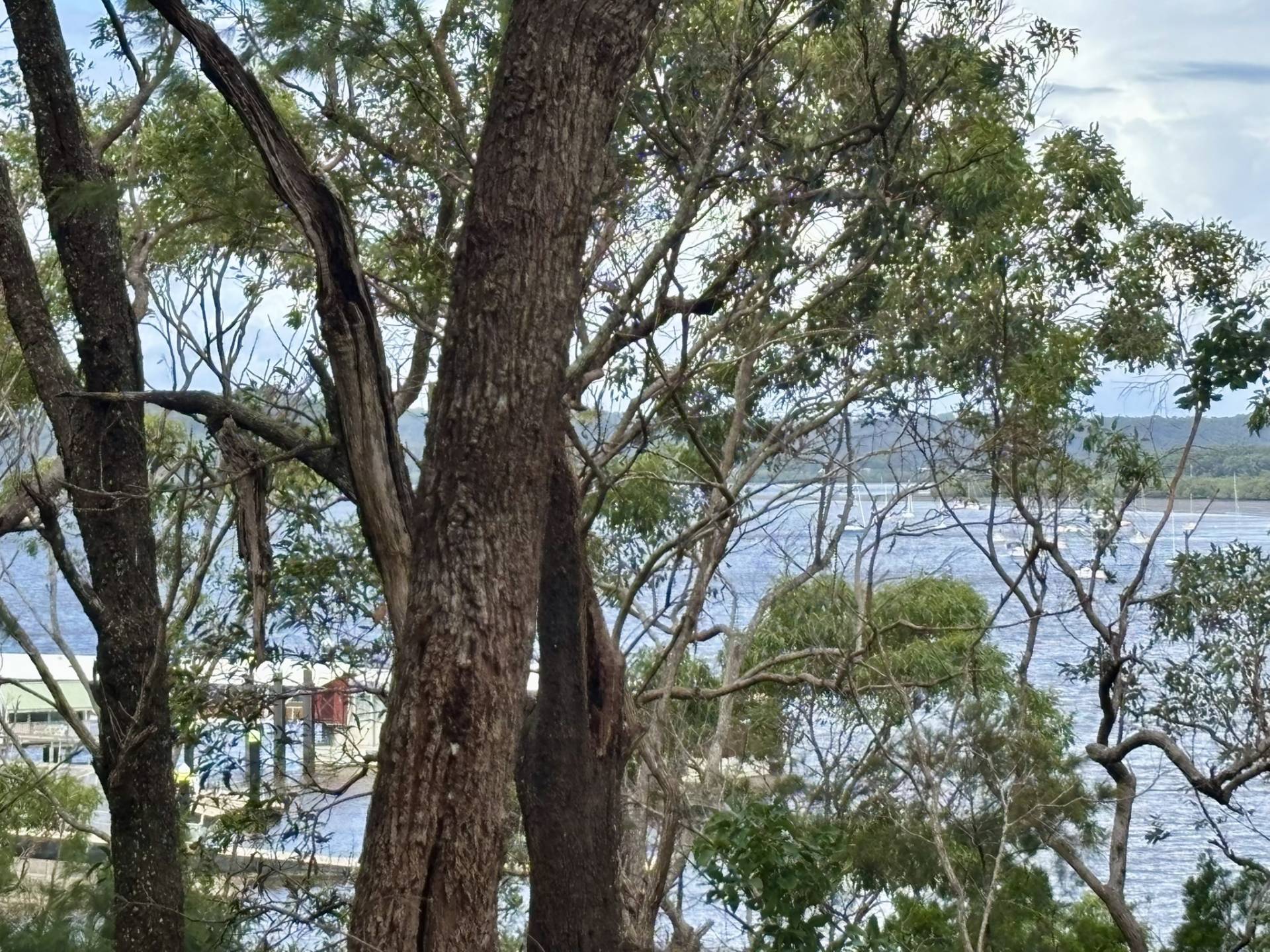 12 High Central Road, Macleay Island, Macleay Island - Thumbnail 3