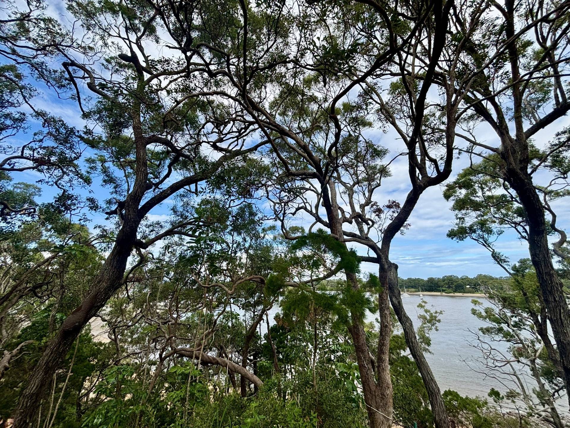 14 High Central Road, Macleay Island, Macleay Island - Thumbnail 5