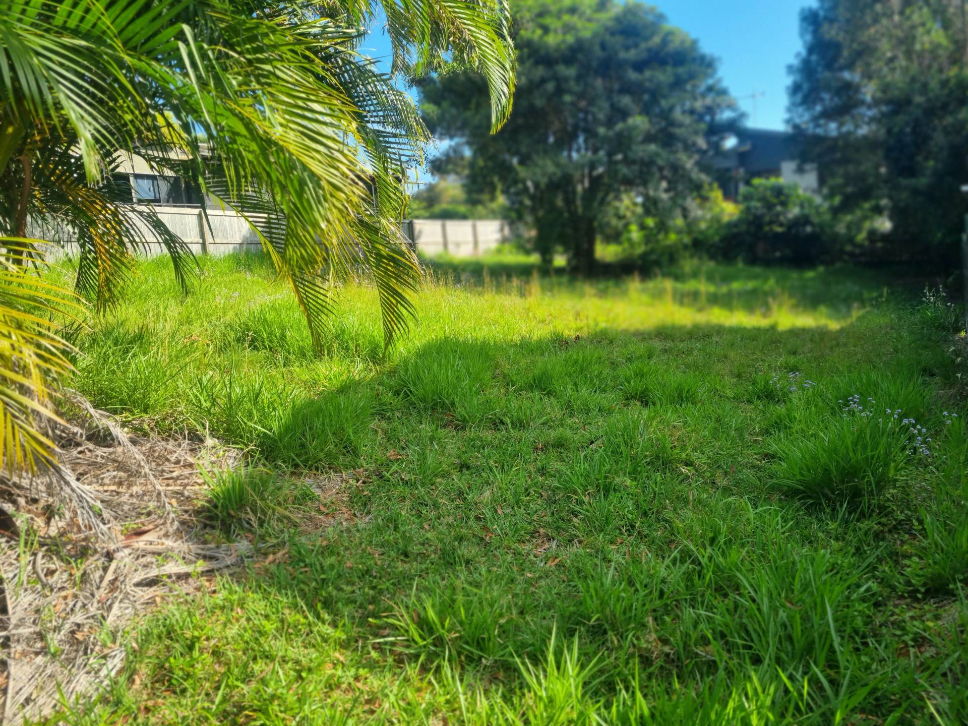 25 Oomool St, Macleay Island, Macleay Island - Thumbnail 2