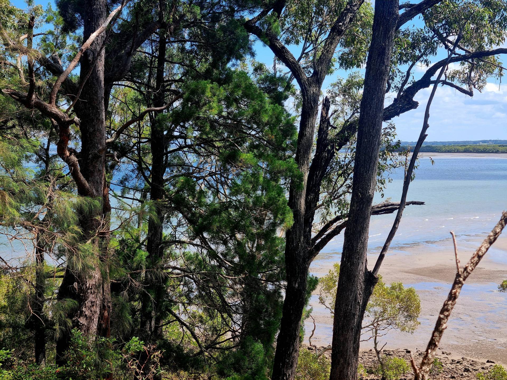 9 Cliff Terrace, Macleay Island, Macleay Island - Thumbnail 3