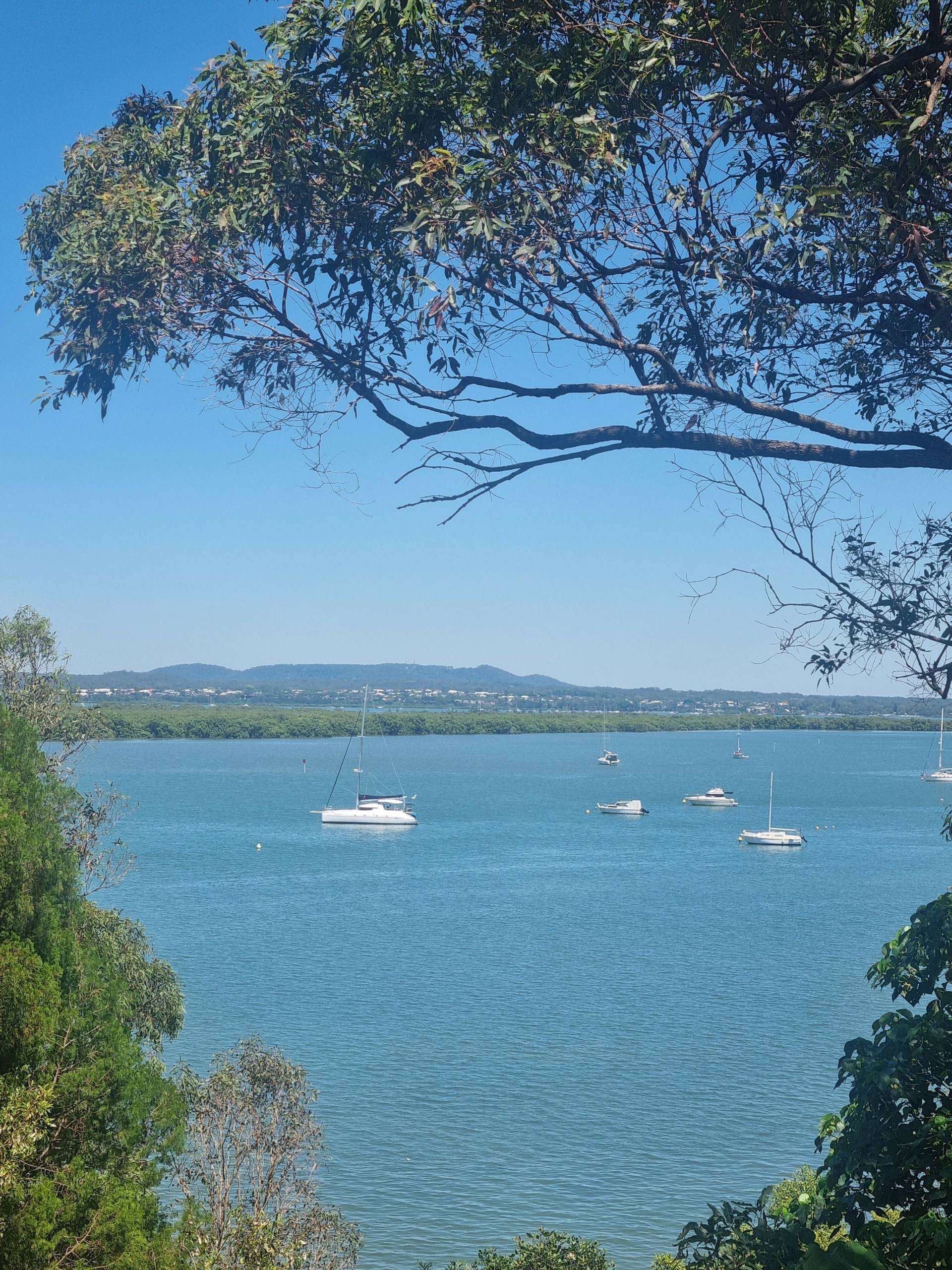 11 Cliff Terrace, Macleay Island, Macleay Island - Thumbnail 3