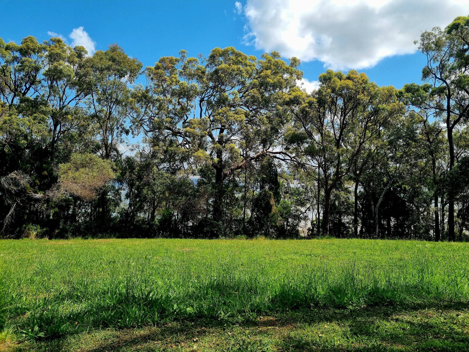13 Cliff Tce, Macleay Island, Macleay Island - Thumbnail 5