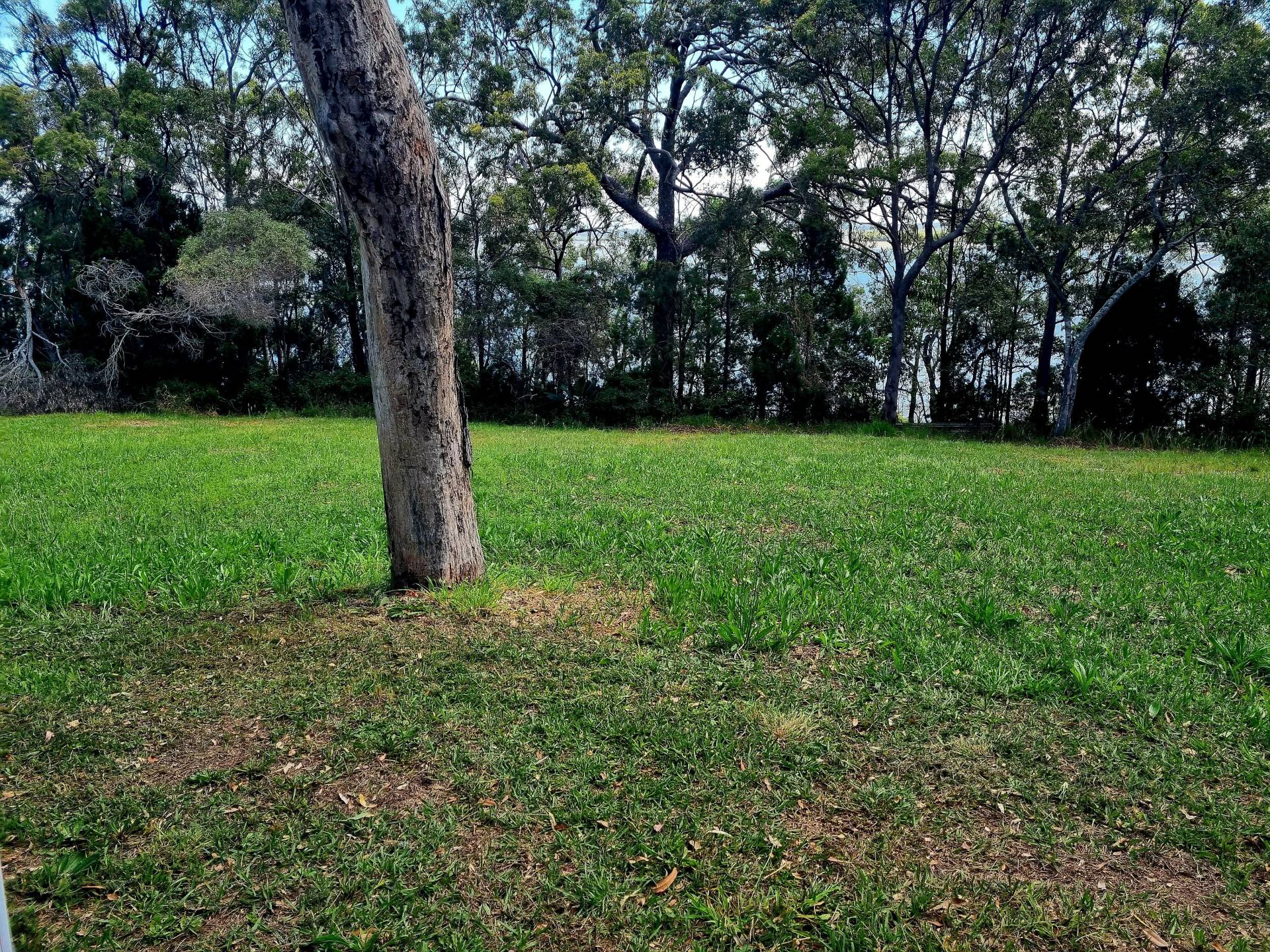 15 Cliff Tce, Macleay Island, Macleay Island - Thumbnail 7