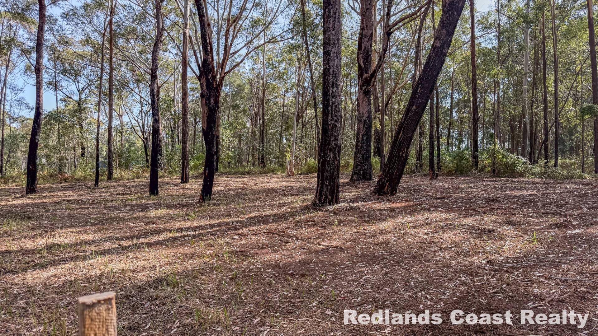 12 Susan St, Russell Island, Russell Island - Thumbnail 6