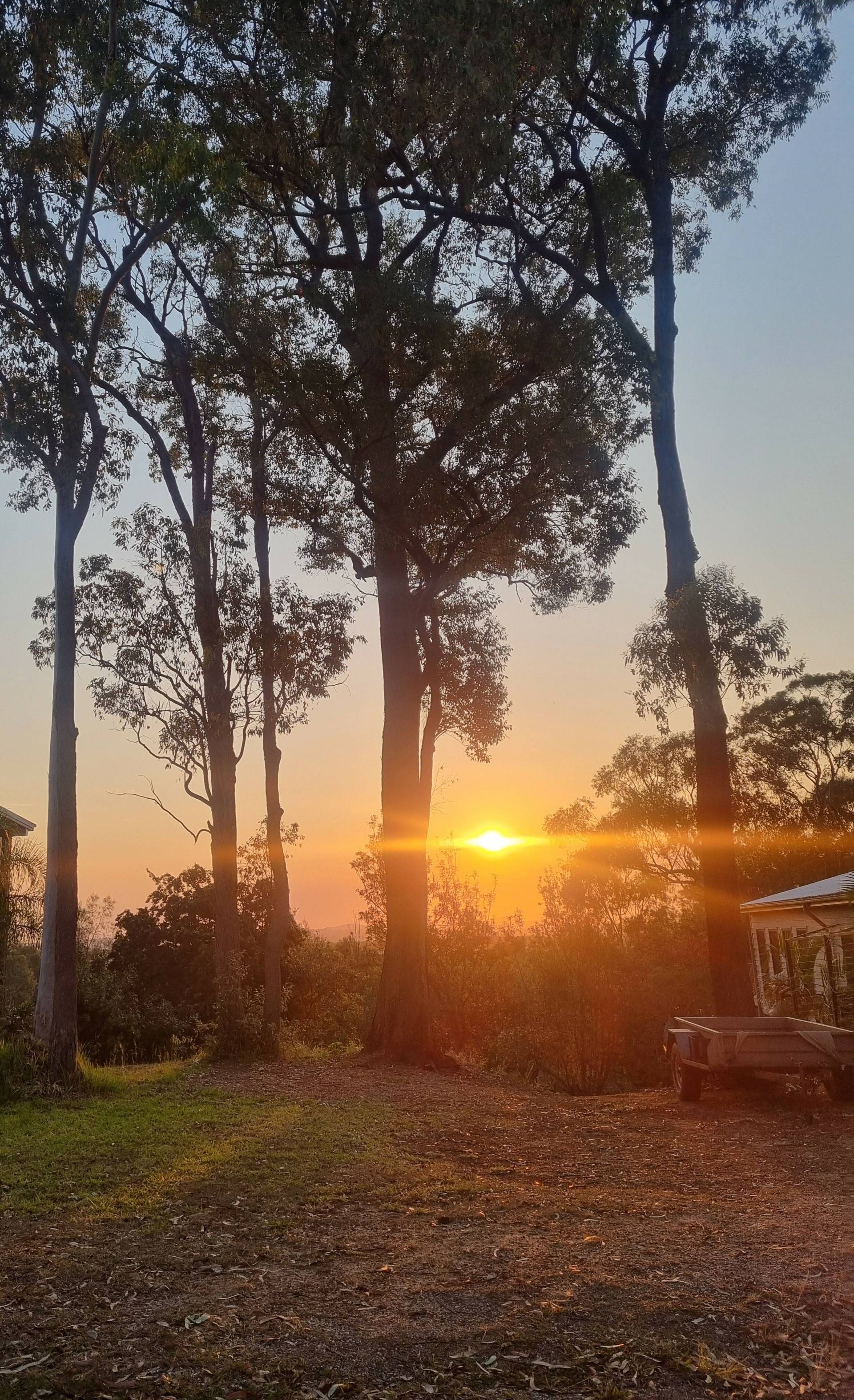 19 Piccaninny St, Macleay Island, Macleay Island - Thumbnail 4