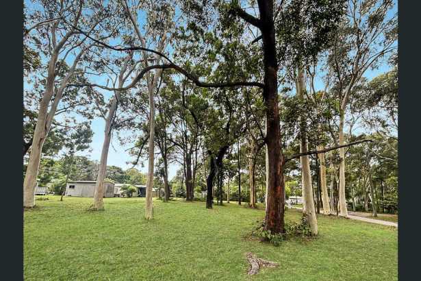 Elevated, Sandy-Soil Block in a Quiet, Tree-Lined Street