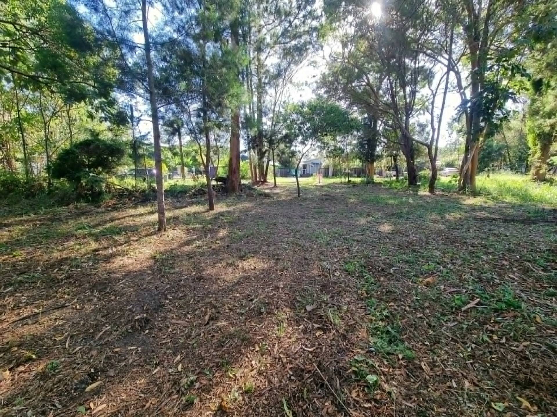 14 Kevin St, Macleay Island, Macleay Island - Thumbnail 4