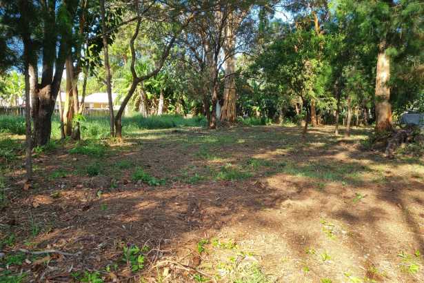 Quiet, Shady Street – Prime 817m² Block with Big 20.3m  Frontage