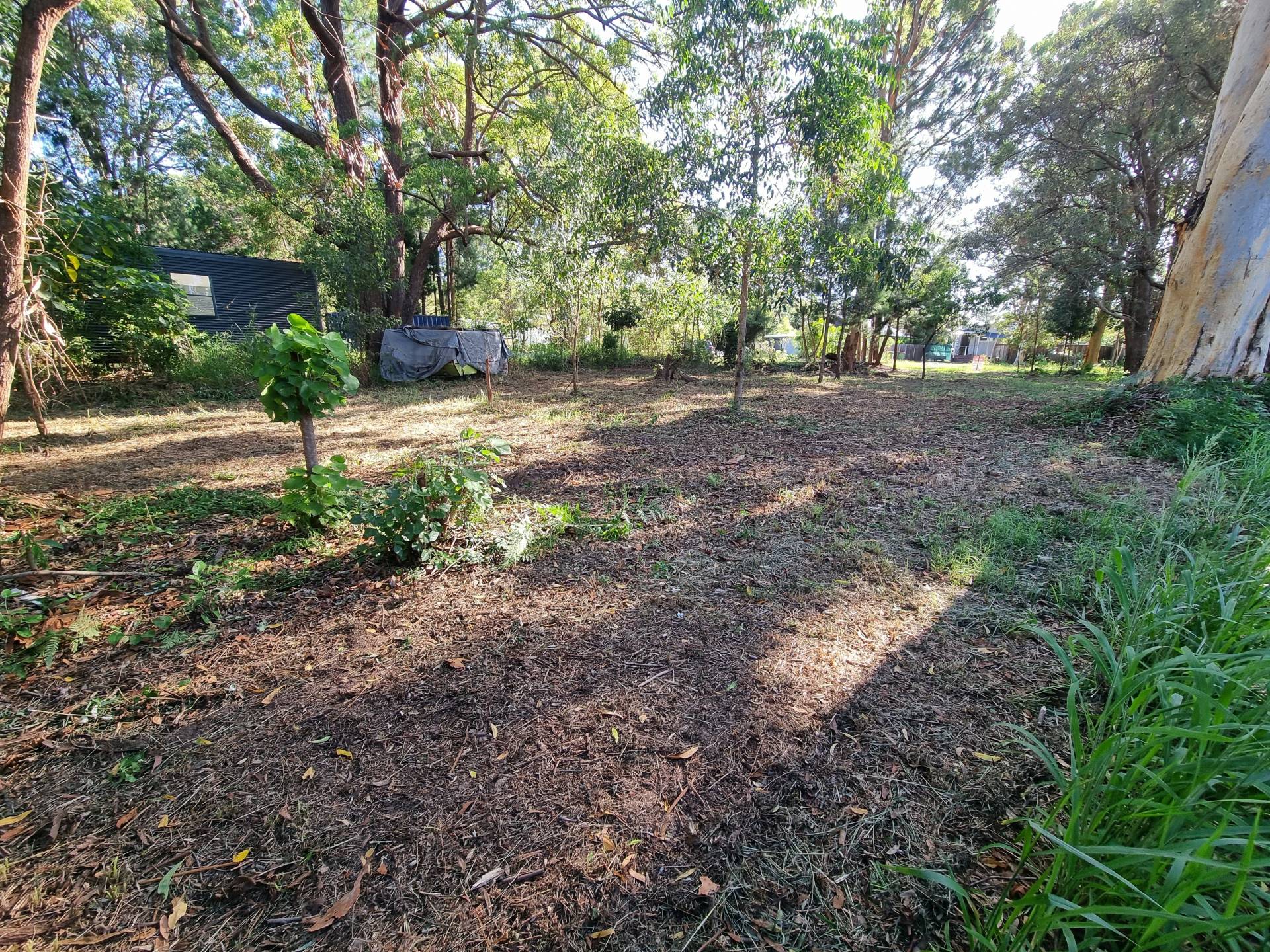 14 Kevin St, Macleay Island, Macleay Island - Thumbnail 2