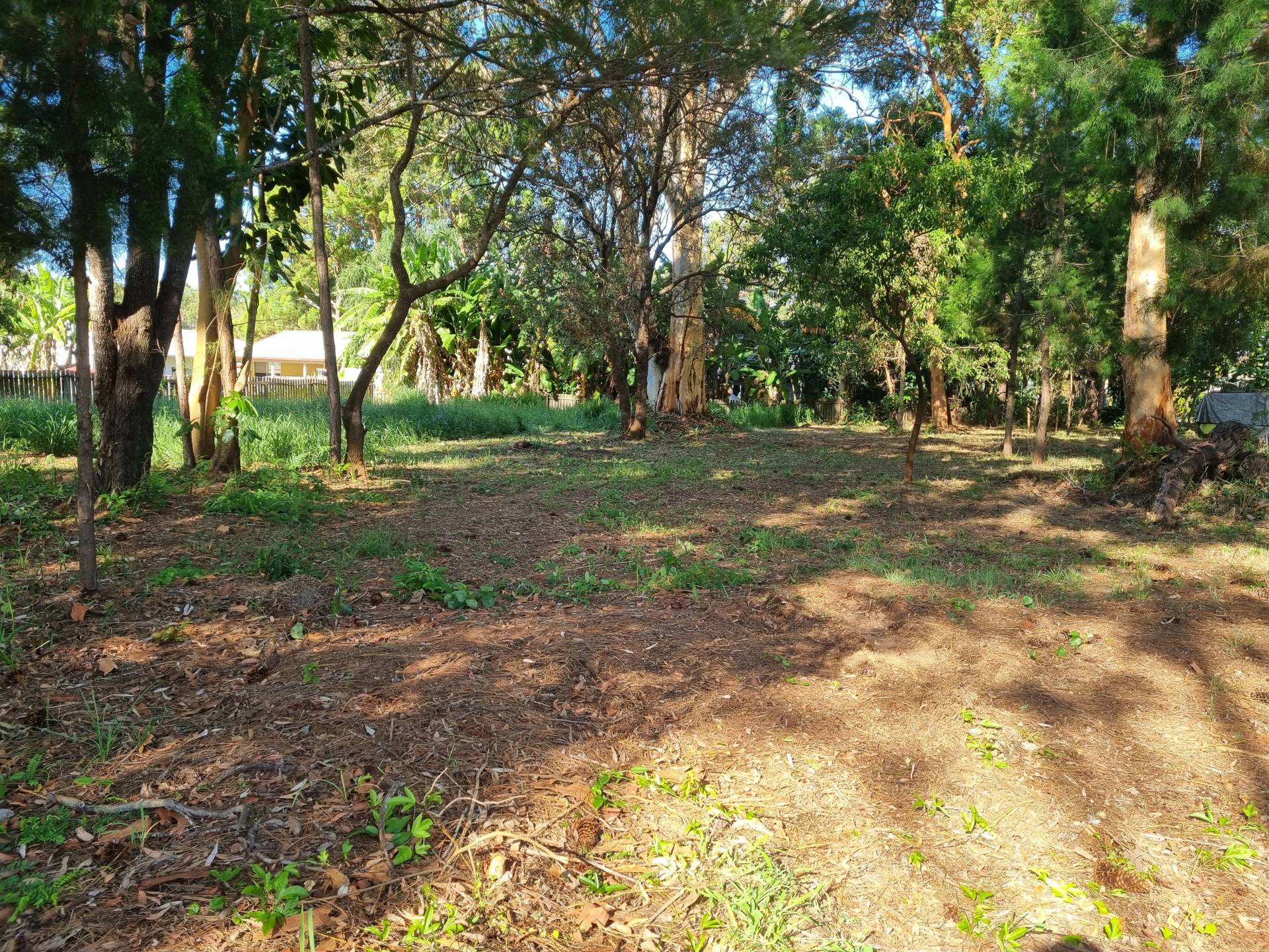 18 Kevin St, Macleay Island, Macleay Island - Thumbnail 3