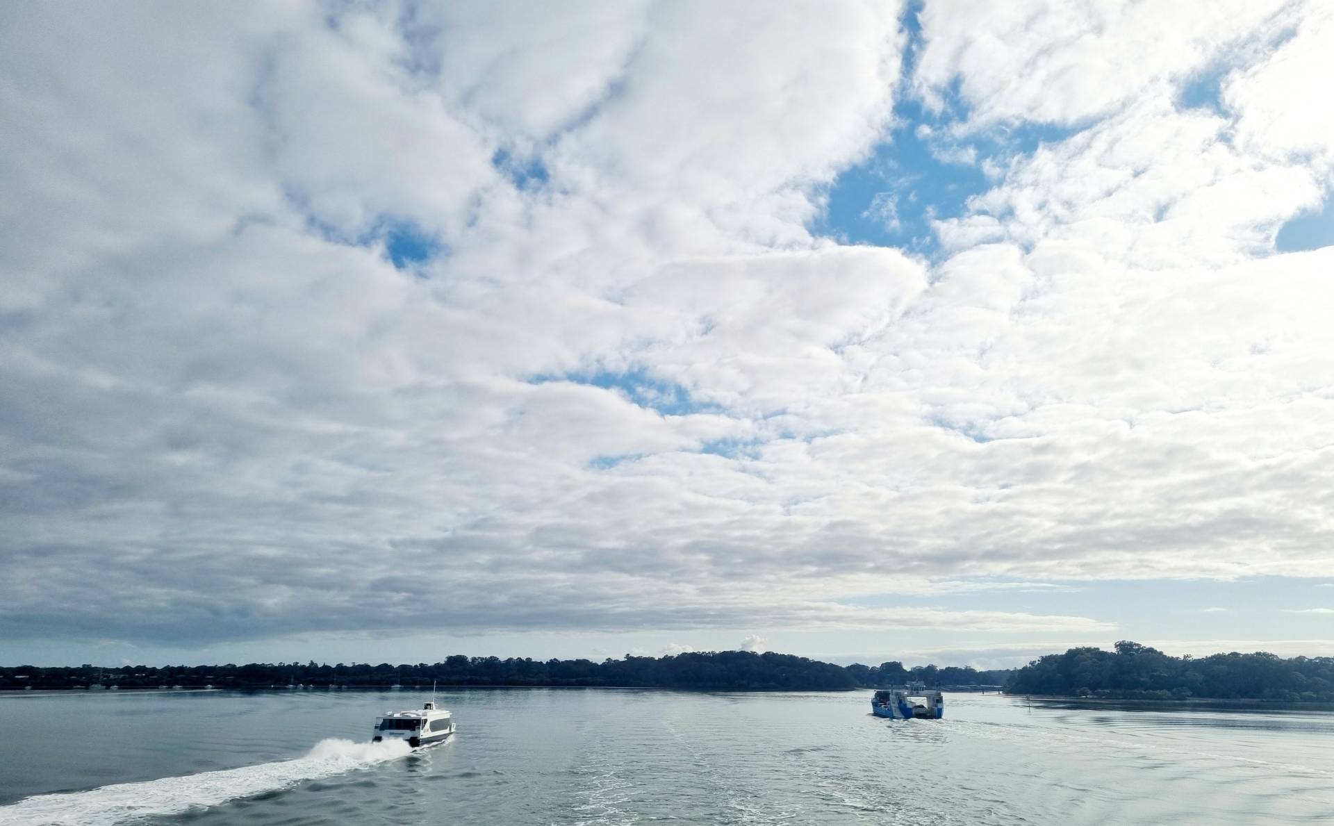 18 Kevin St, Macleay Island, Macleay Island - Thumbnail 8