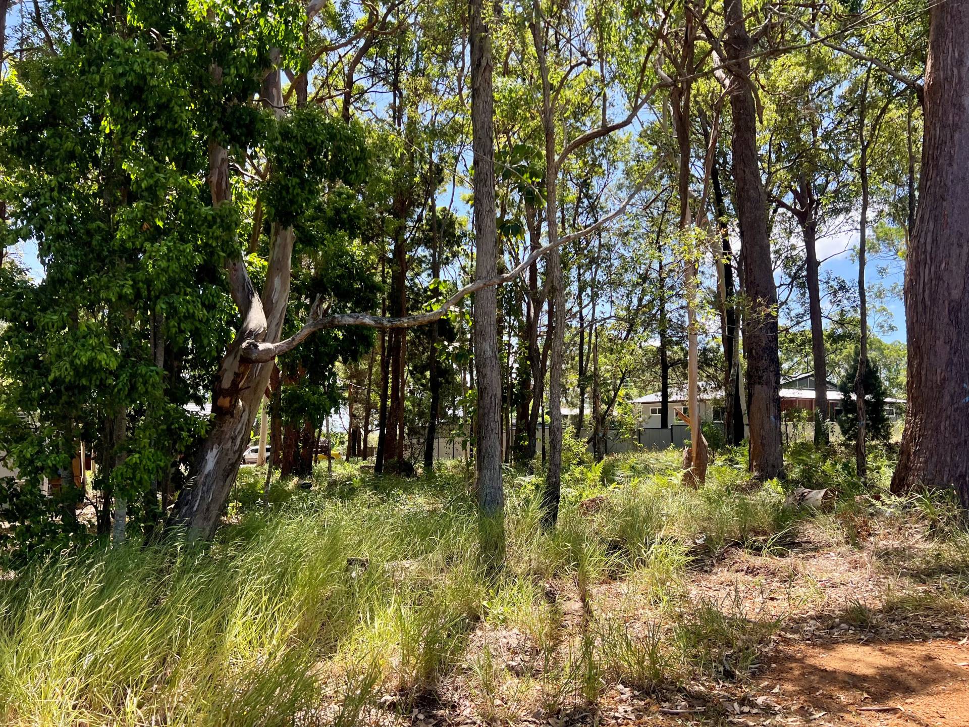 7 Brolga St, Macleay Island, Macleay Island - Thumbnail 2