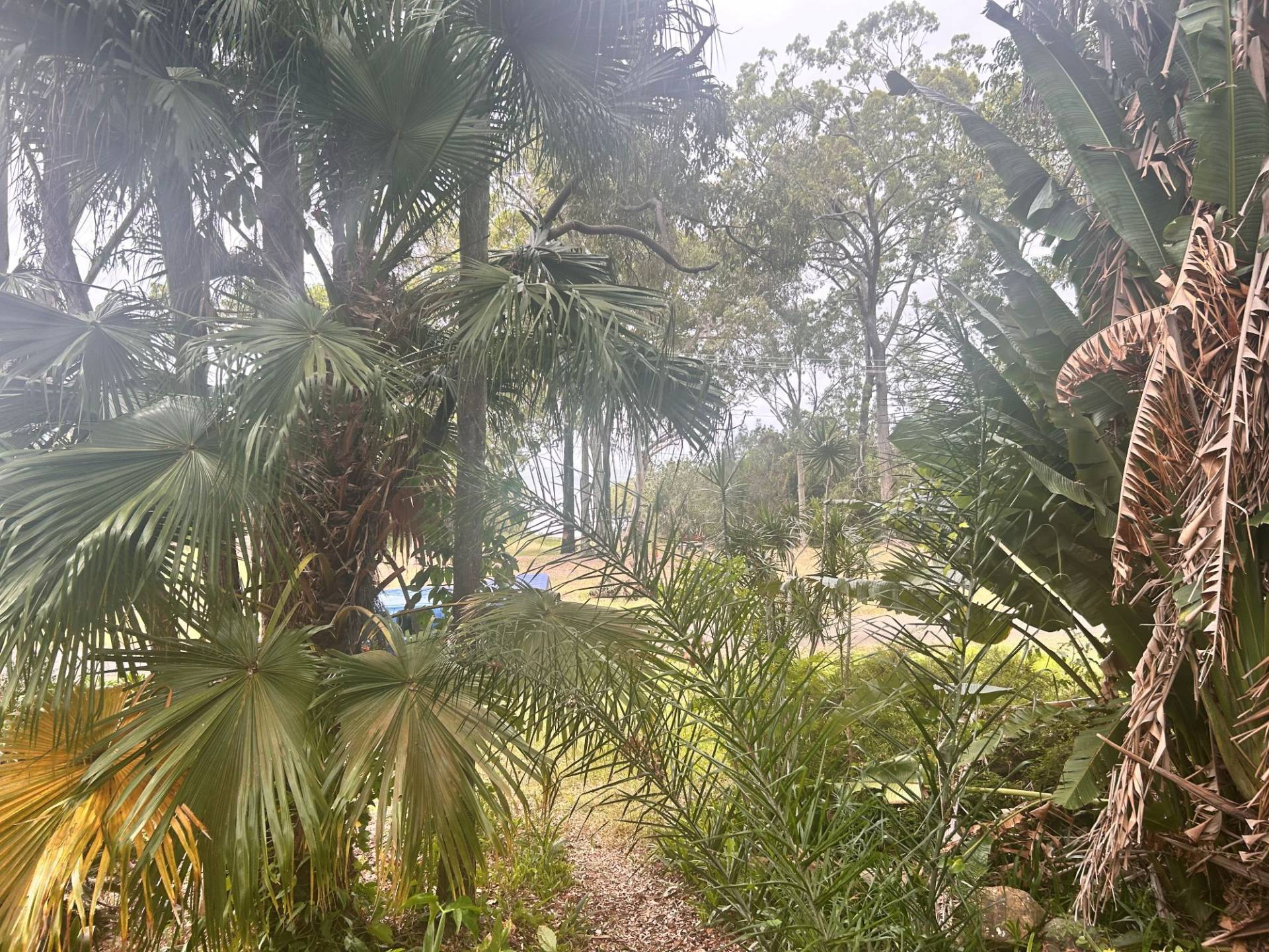 24 Blue Bay Cres, Macleay Island, Macleay Island - Thumbnail 5
