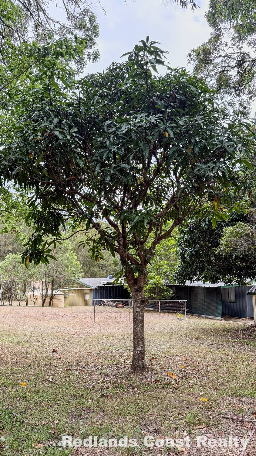 104 Lucas Dr, Lamb Island, Lamb Island - Thumbnail 6