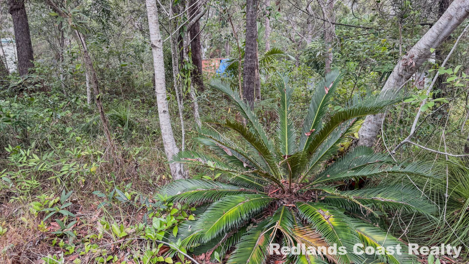 18 Belar Street, Lamb Island, Lamb Island - Thumbnail 8