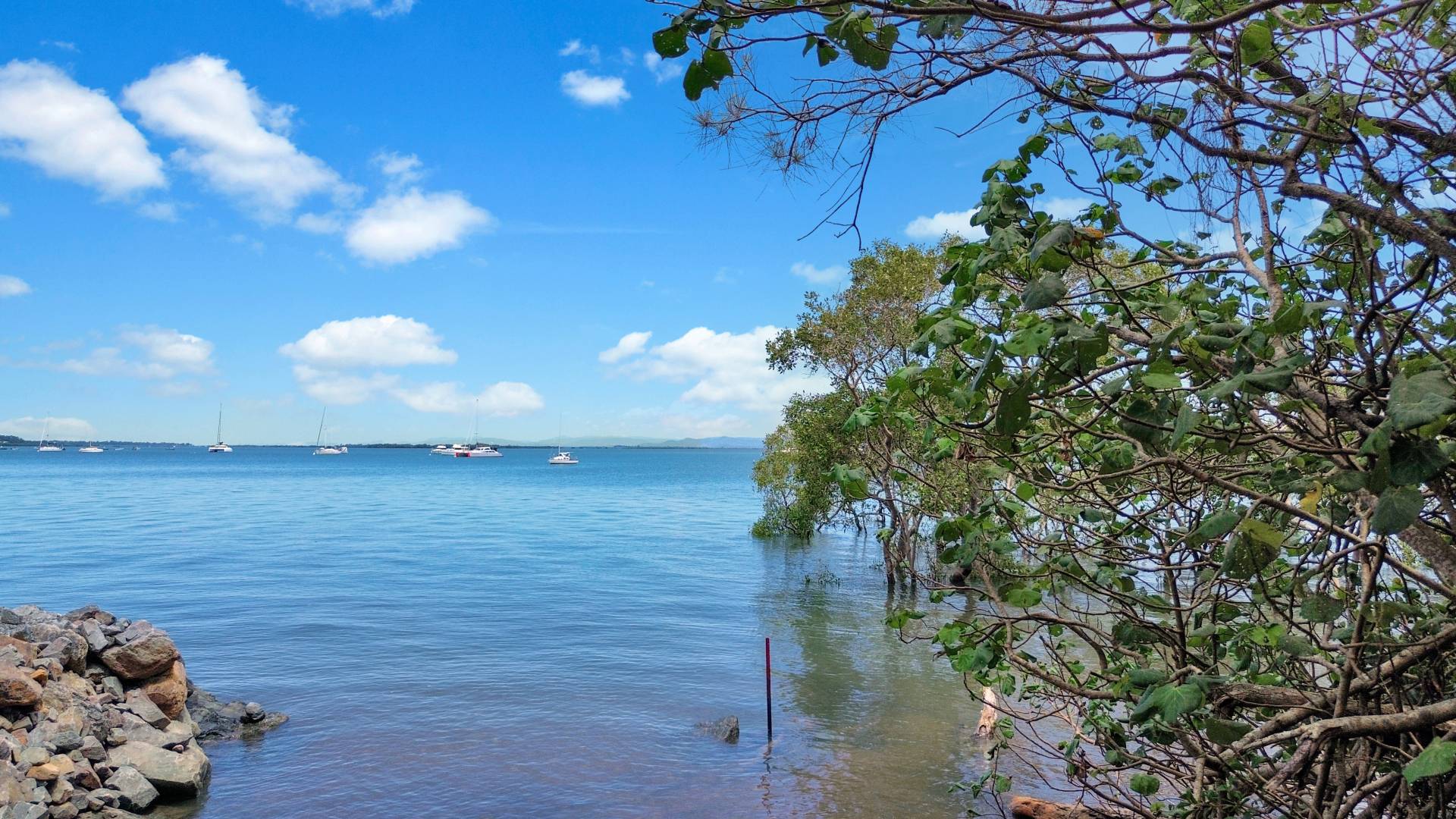 48 Western Road, Macleay Island, Macleay Island - Thumbnail 6