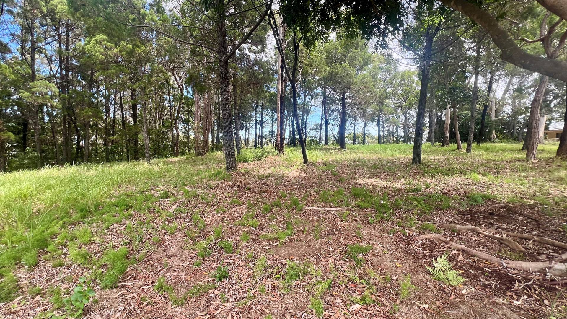 48 Western Road, Macleay Island, Macleay Island - Thumbnail 5