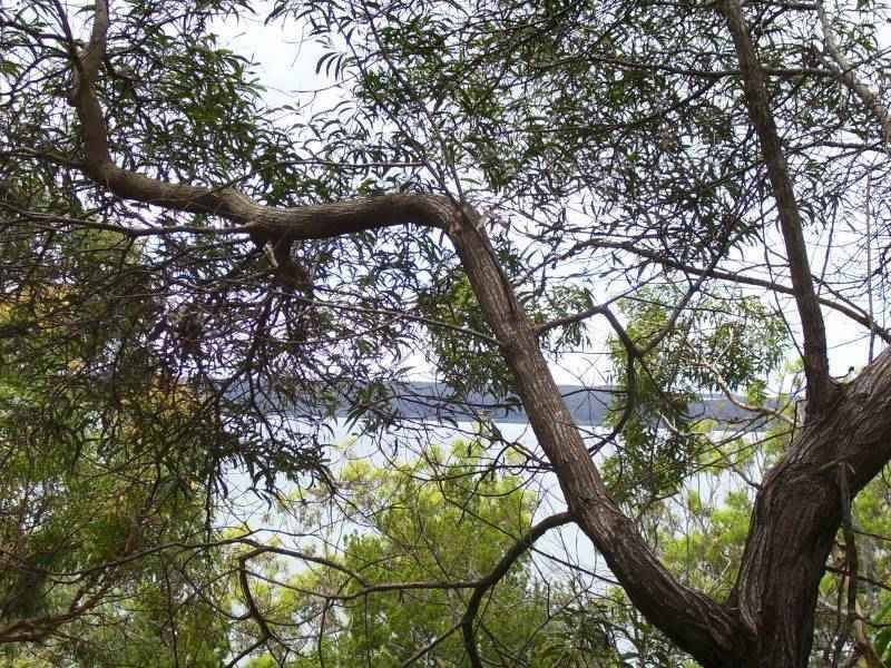 32 Blue Waters Crescent, Macleay Island, Macleay Island - Thumbnail 3