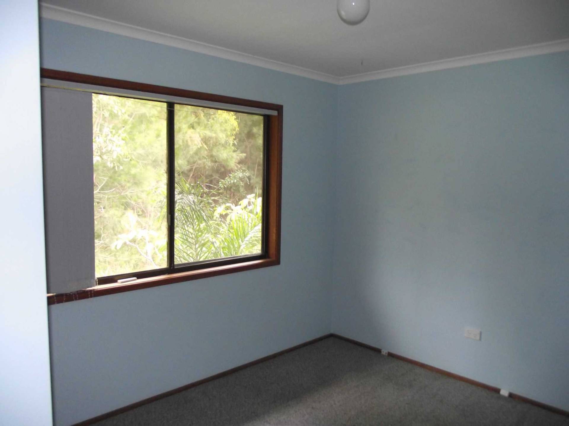 27 Cathy Street, Macleay Island, Macleay Island - Thumbnail 8
