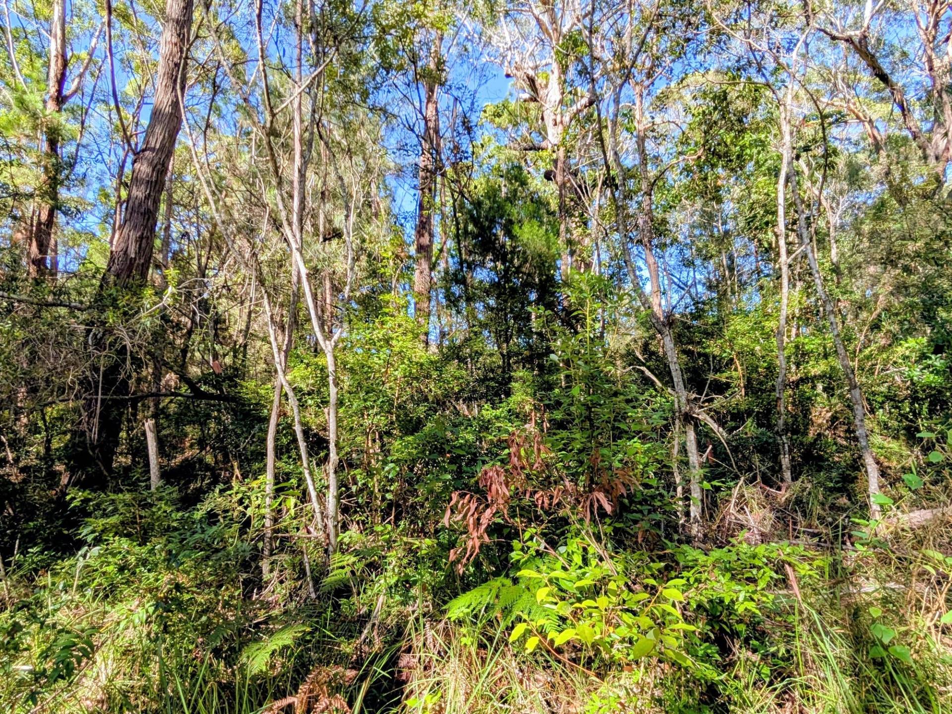 14 Borrows Street, Russell Island - Image 1