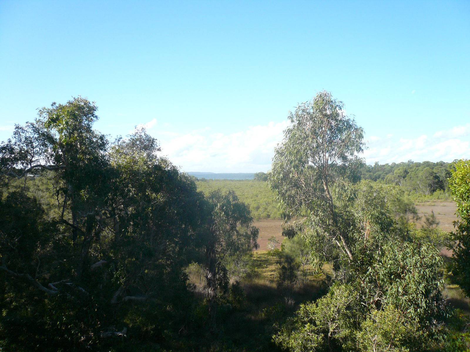 8 Timothy Street, Macleay Island, Macleay Island - Thumbnail 2