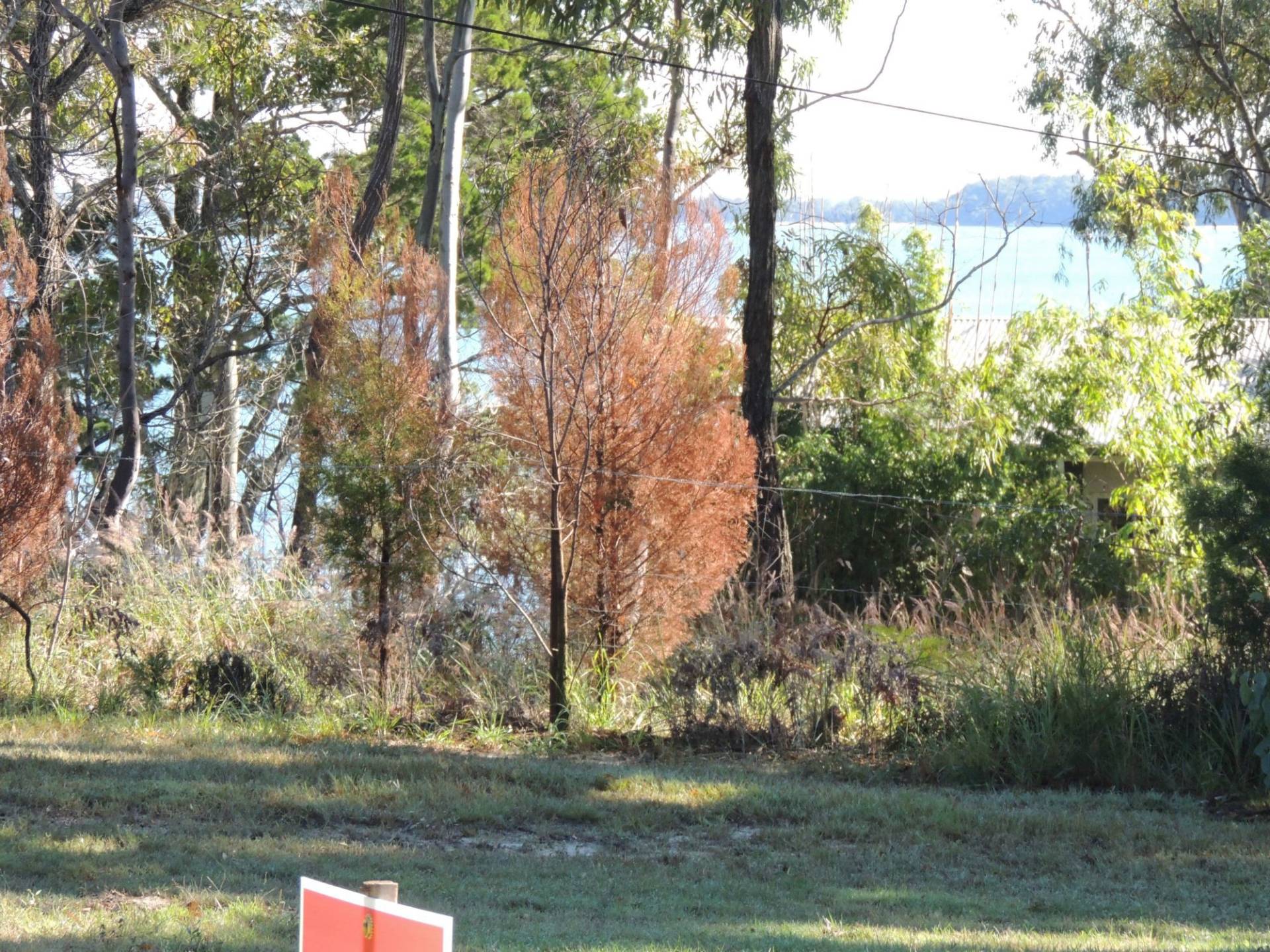 31 Wharf Street, Macleay Island, Macleay Island - Thumbnail 3