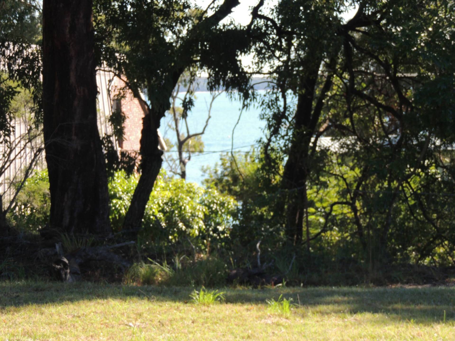 31 Wharf Street, Macleay Island, Macleay Island - Thumbnail 5