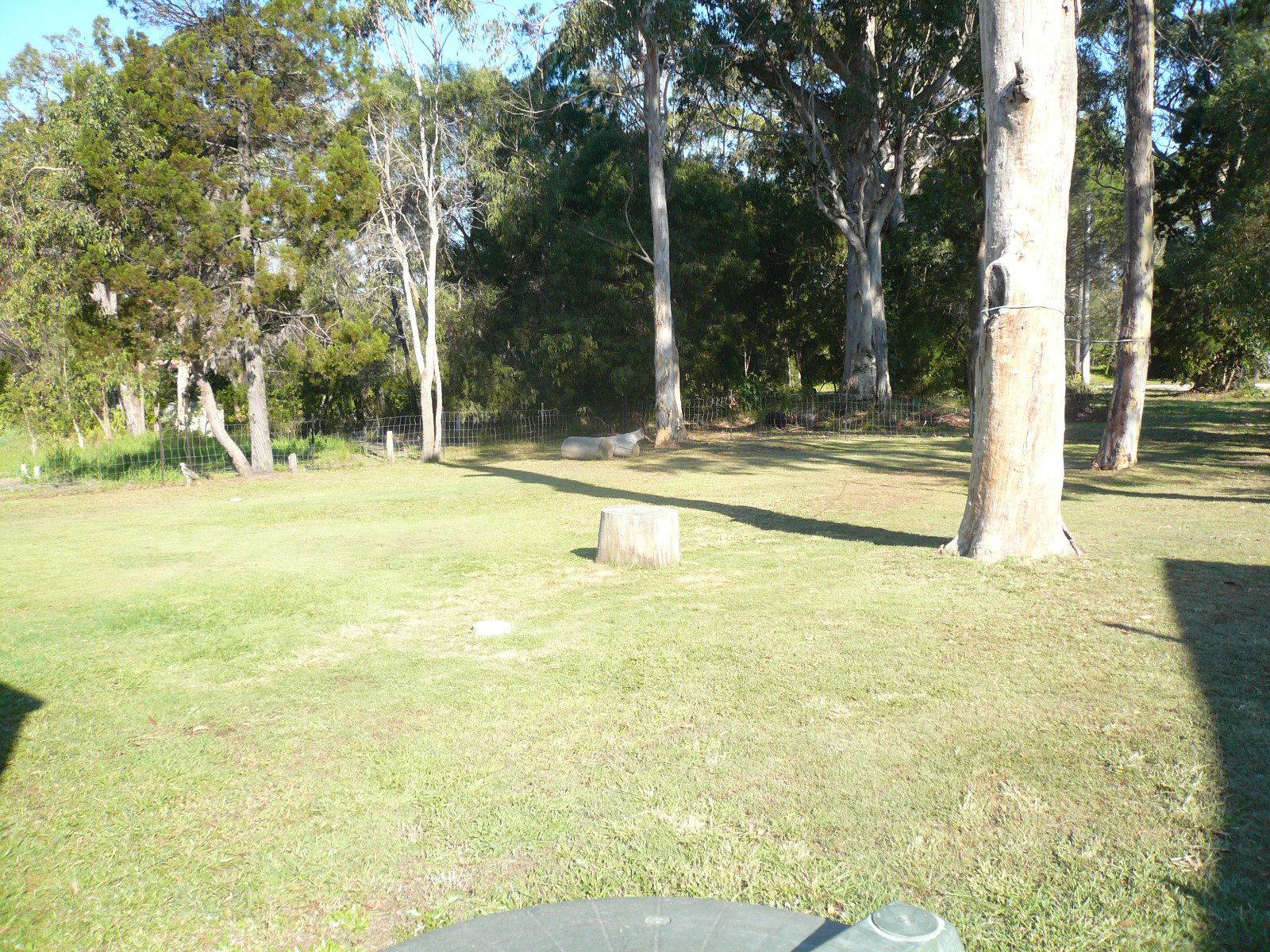 20 Orion Street, Macleay Island, Macleay Island - Thumbnail 3