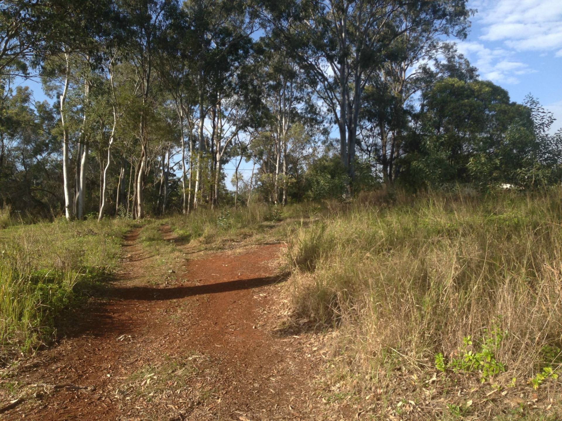 110 The Esplanade St, Karragarra Island, Karragarra Island - Thumbnail 3