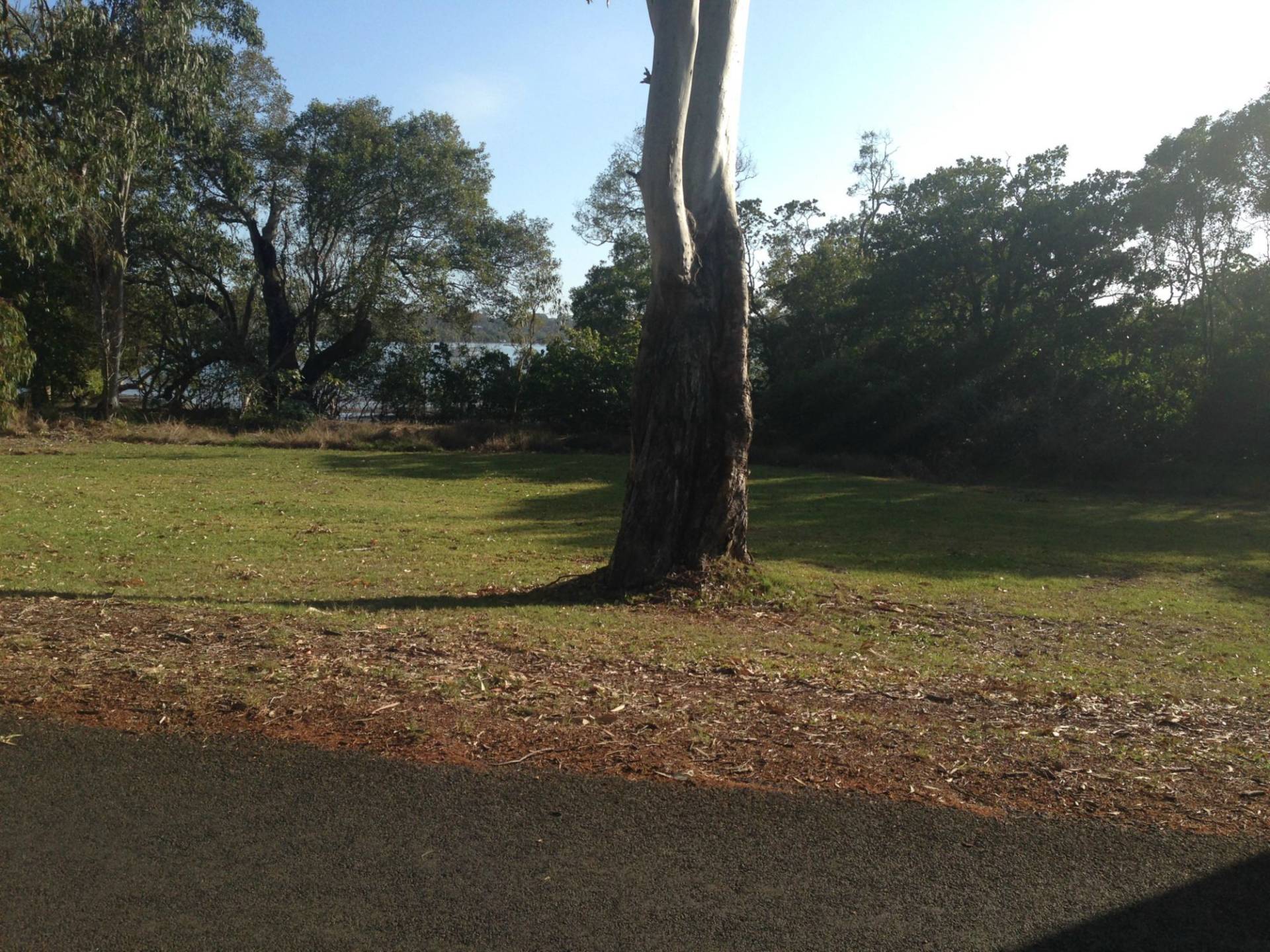 110 The Esplanade St, Karragarra Island, Karragarra Island - Thumbnail 2