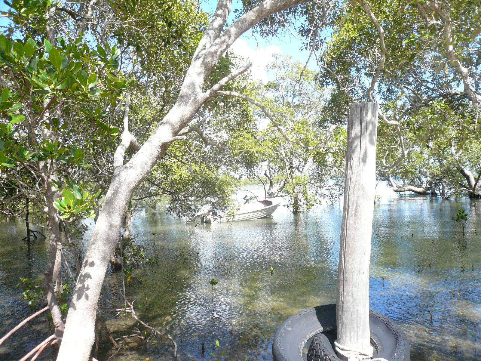 81 Coondooroopa Drive, Macleay Island, Macleay Island - Thumbnail 2