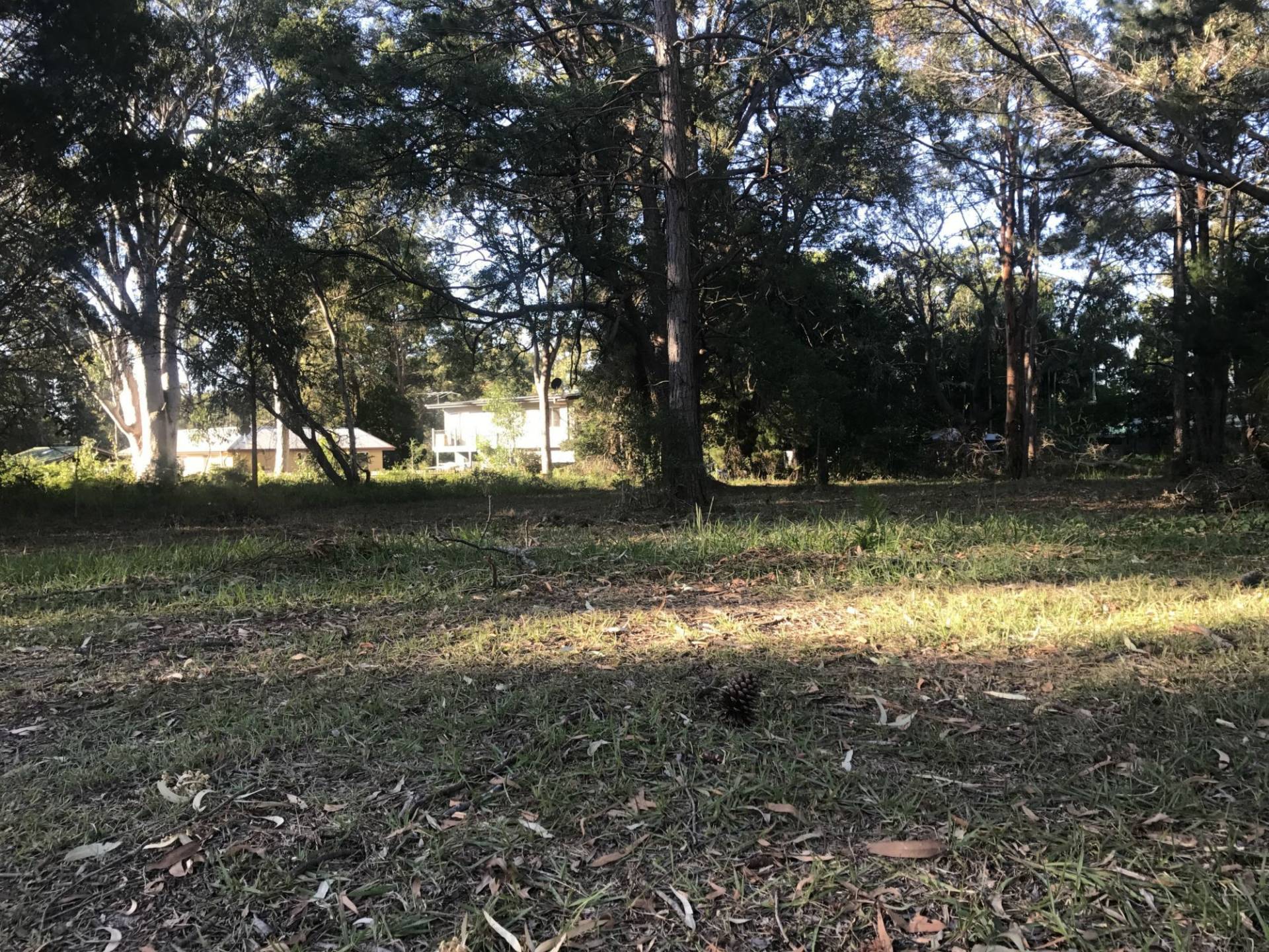 16 Kevin Street, Macleay Island, Macleay Island - Thumbnail 2