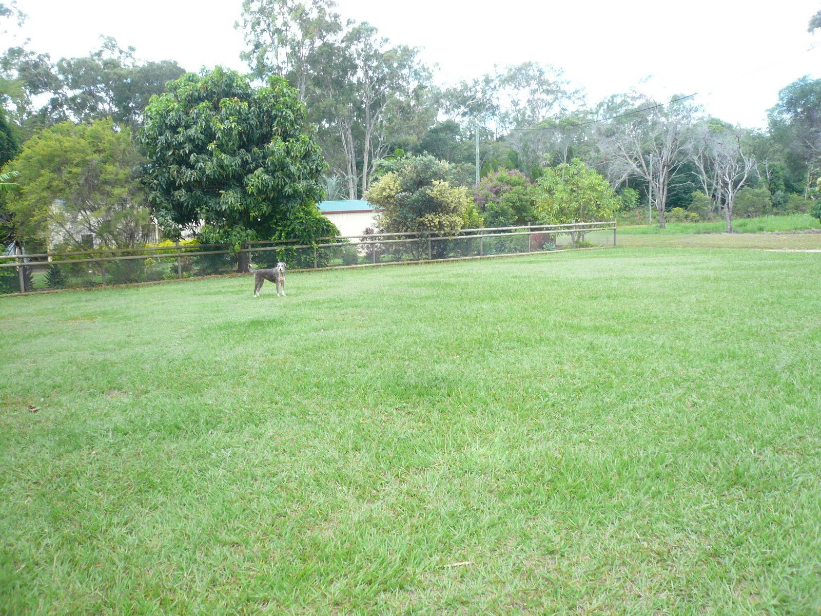 47 Western Road, Macleay Island, Macleay Island - Thumbnail 2