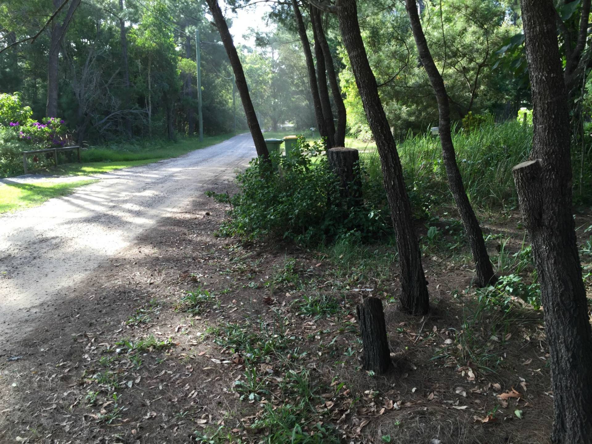 30 Arthur Street, Macleay Island, Macleay Island - Thumbnail 4