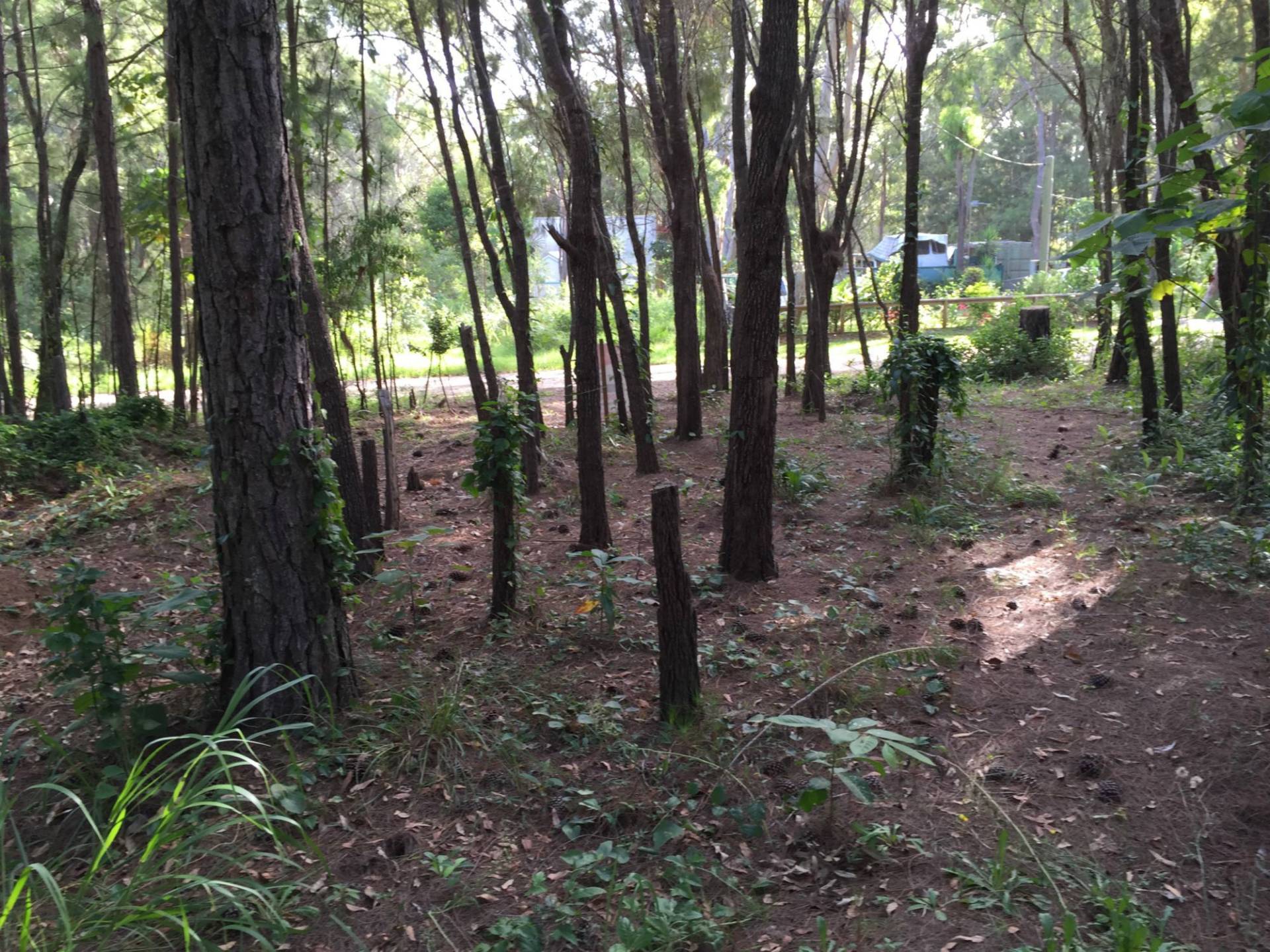 30 Arthur Street, Macleay Island, Macleay Island - Thumbnail 6