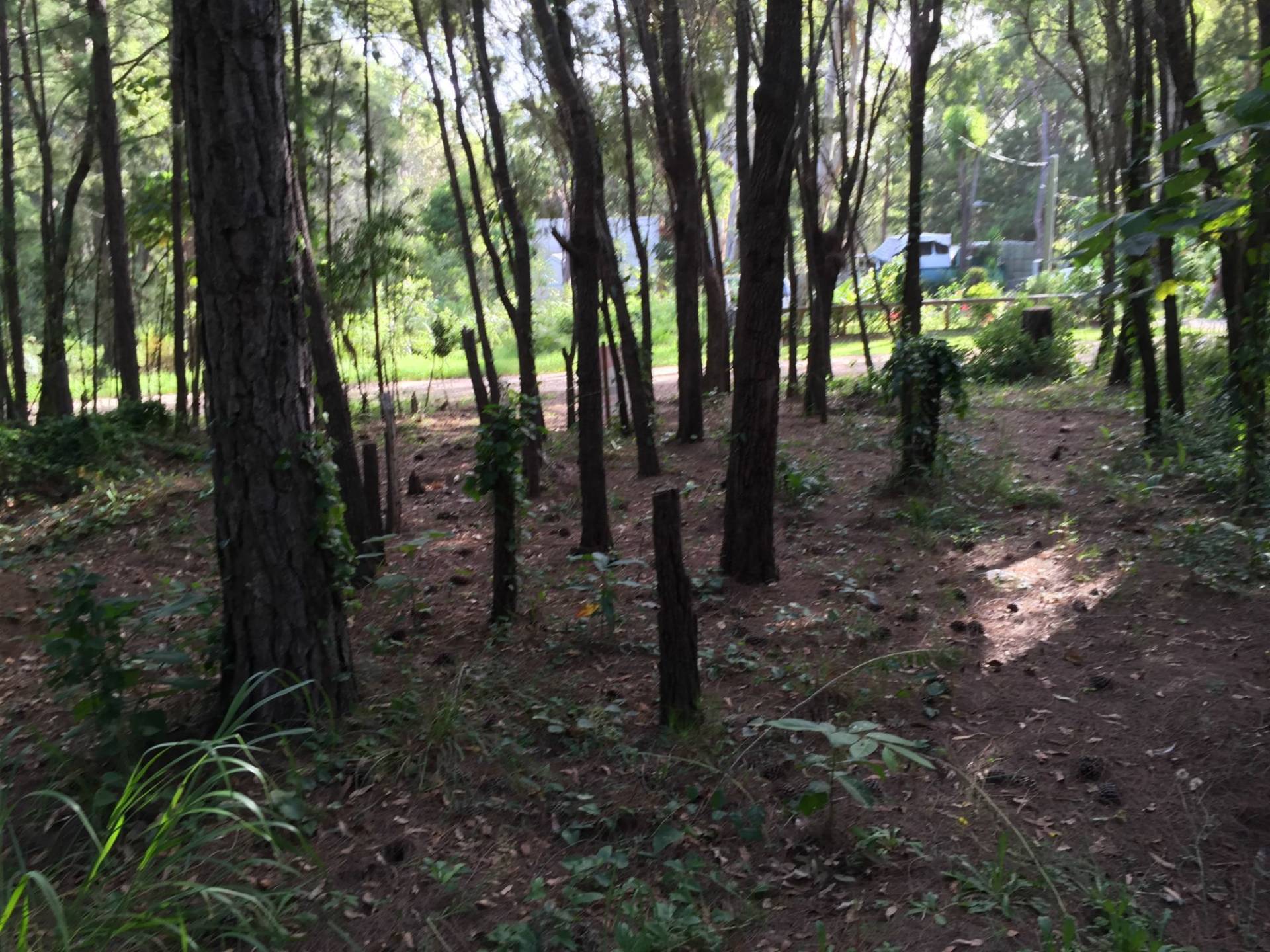 30 Arthur Street, Macleay Island, Macleay Island - Thumbnail 7