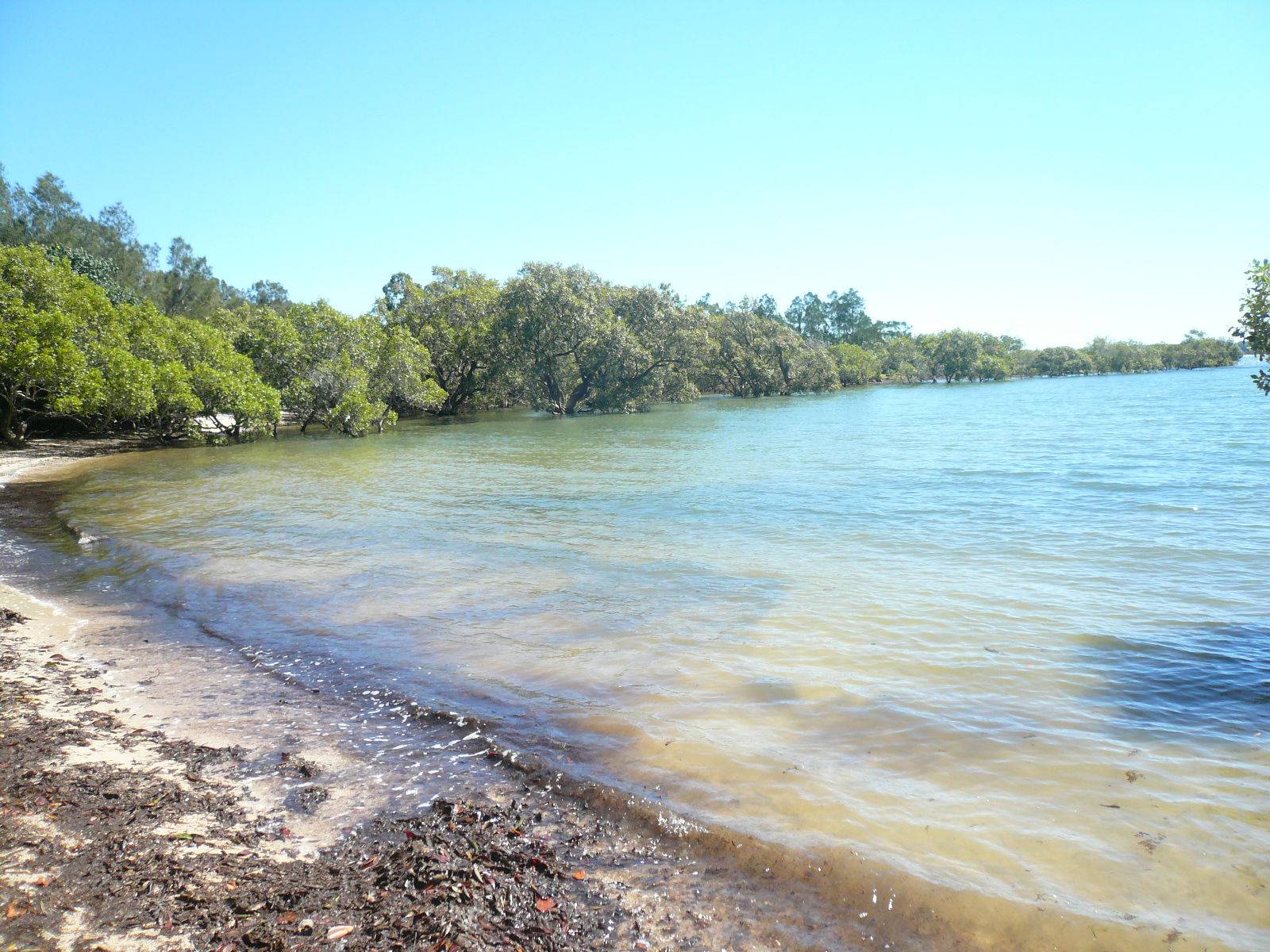 73 Coondooroopa Drive, Macleay Island, Macleay Island - Thumbnail 2