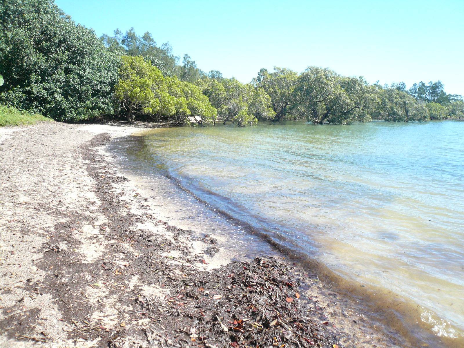 73 Coondooroopa Drive, Macleay Island, Macleay Island - Thumbnail 3