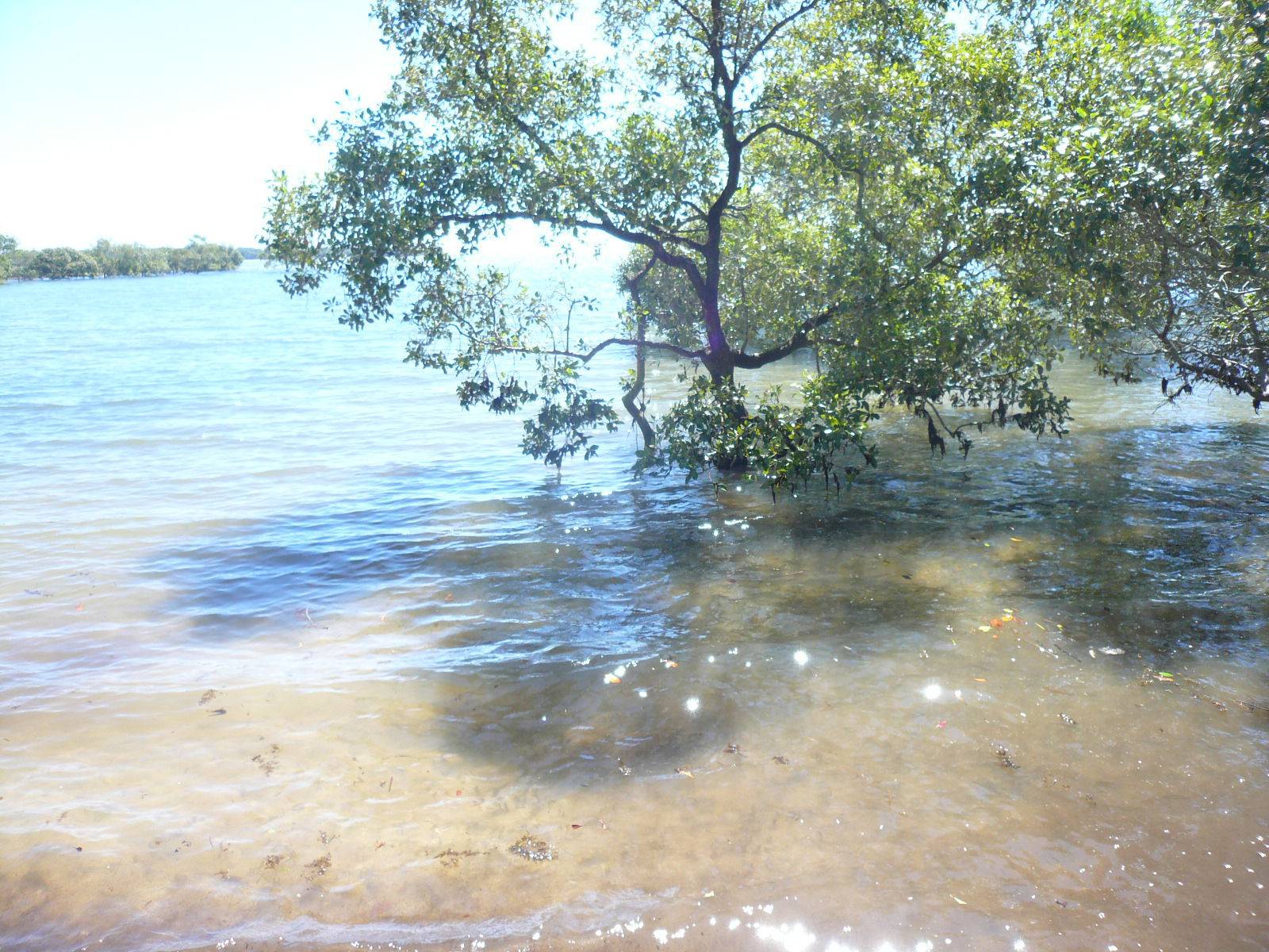 73 Coondooroopa Drive, Macleay Island, Macleay Island - Thumbnail 4