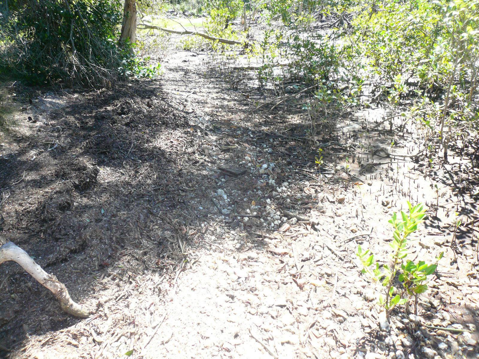 73 Coondooroopa Drive, Macleay Island, Macleay Island - Thumbnail 6