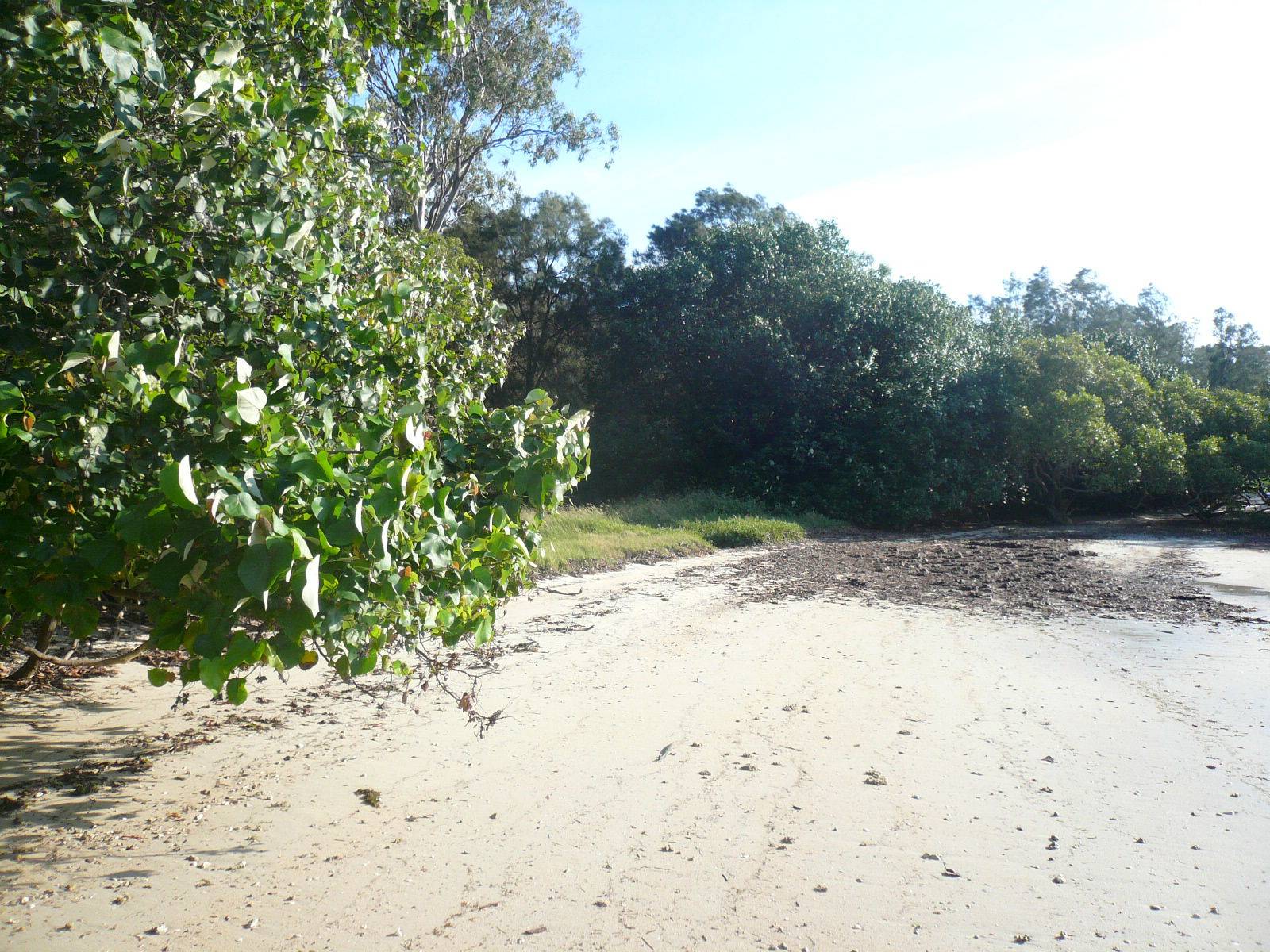 73 Coondooroopa Drive, Macleay Island, Macleay Island - Thumbnail 7